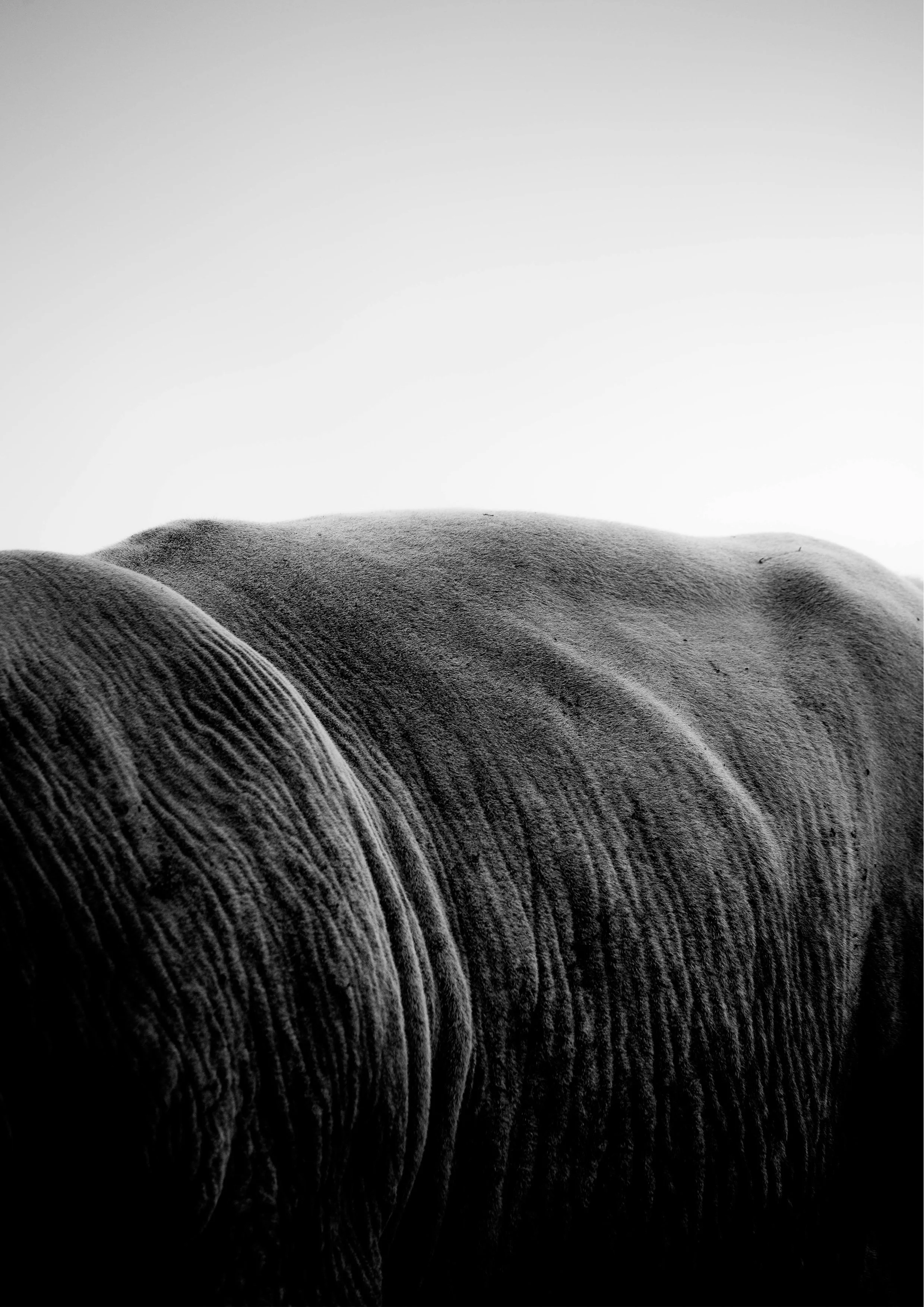 Paysage de la Lozère, capturant sa beauté rude, ses contrastes et l'omniprésence du vent. Photographie issue de la série de Jean-François Pighin, développée dans le cadre du mentorat photo en ligne de Préludes Photo.