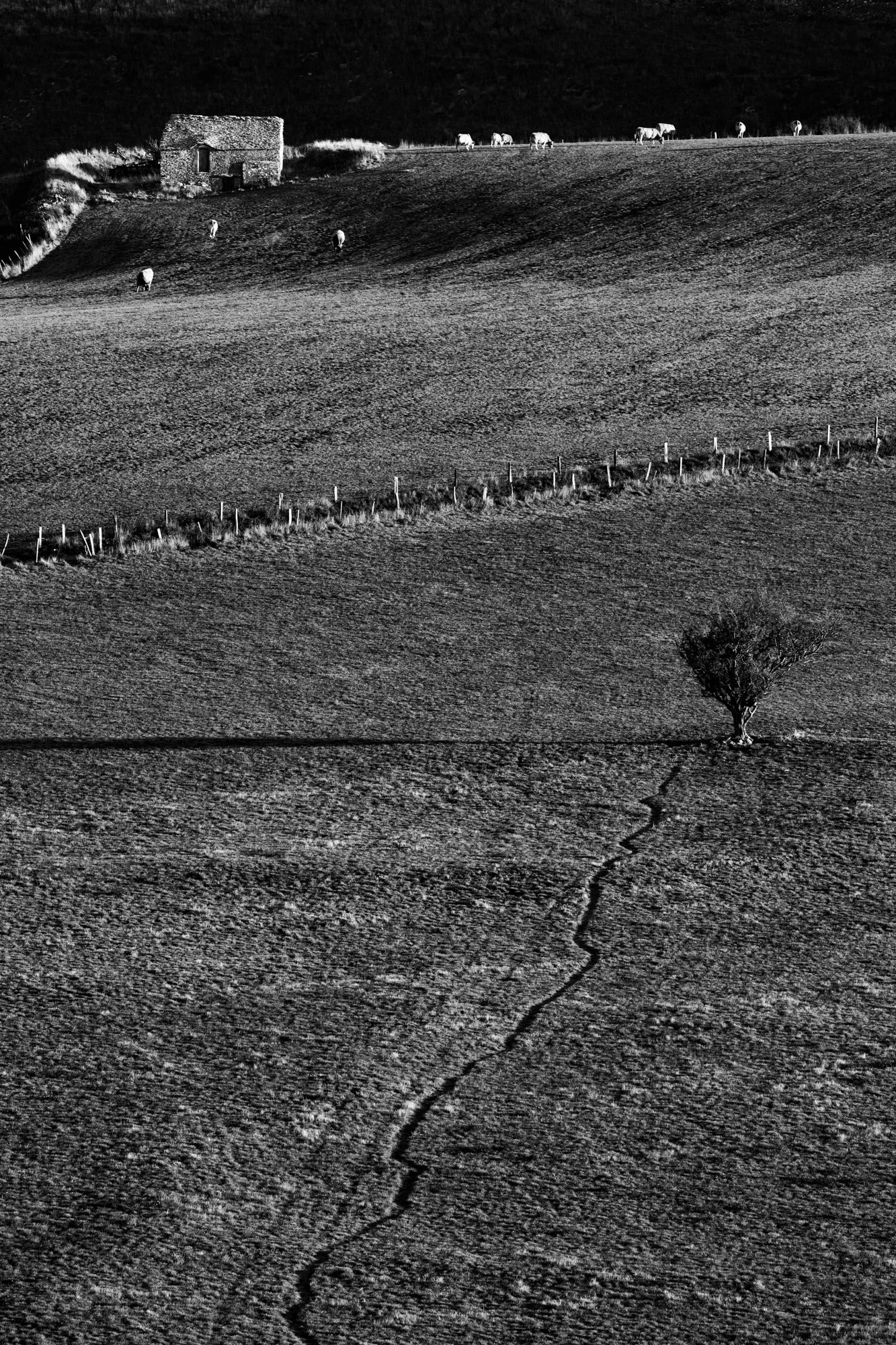 Série photo de Stéphane Ouradou en noir et blanc dans les Cévennes en Lozère