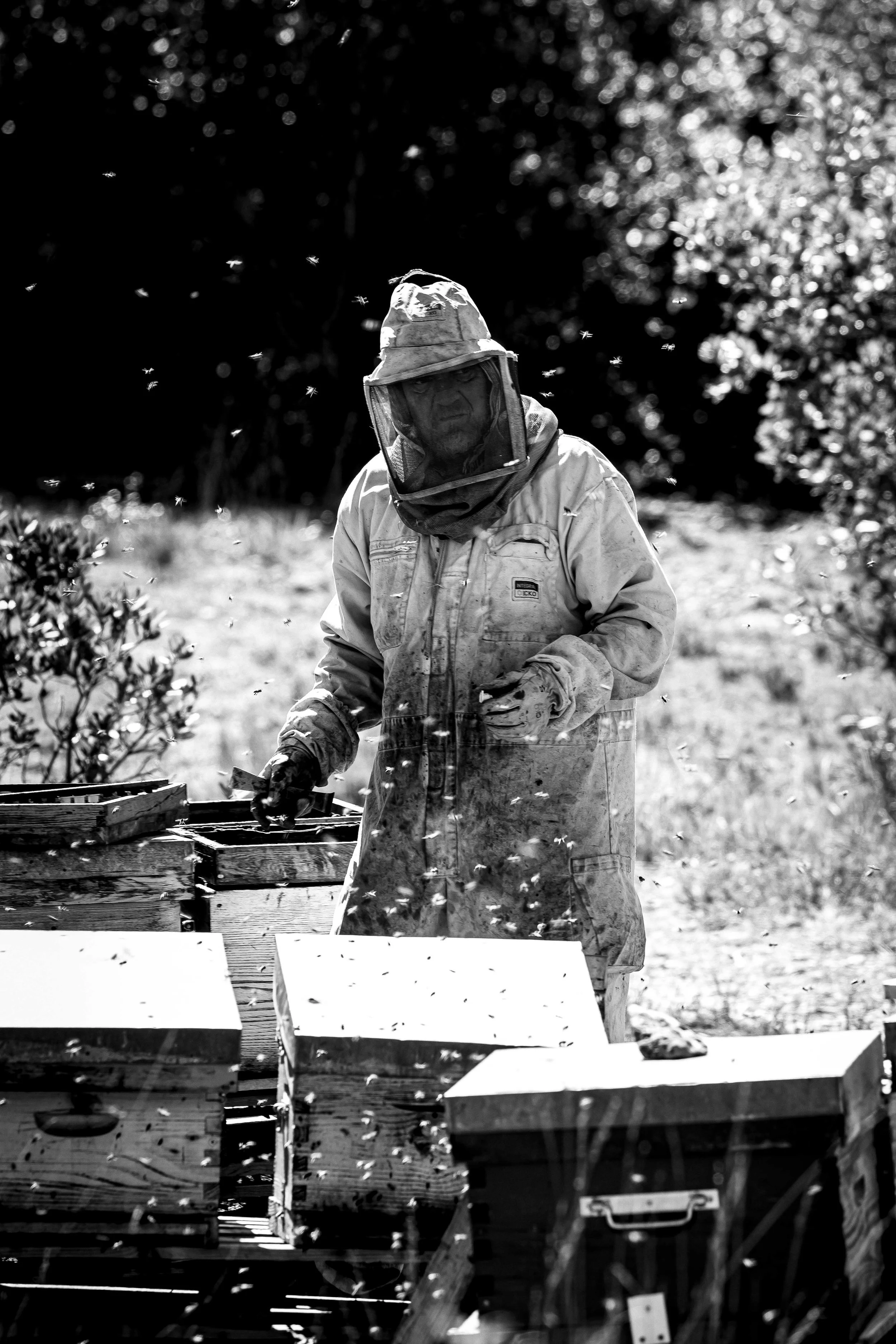 Portrait de la Lozère, capturant sa beauté rude, ses contrastes et l'omniprésence du vent. Photographie issue de la série de Jean-François Pighin, développée dans le cadre du mentorat photo en ligne de Préludes Photo.