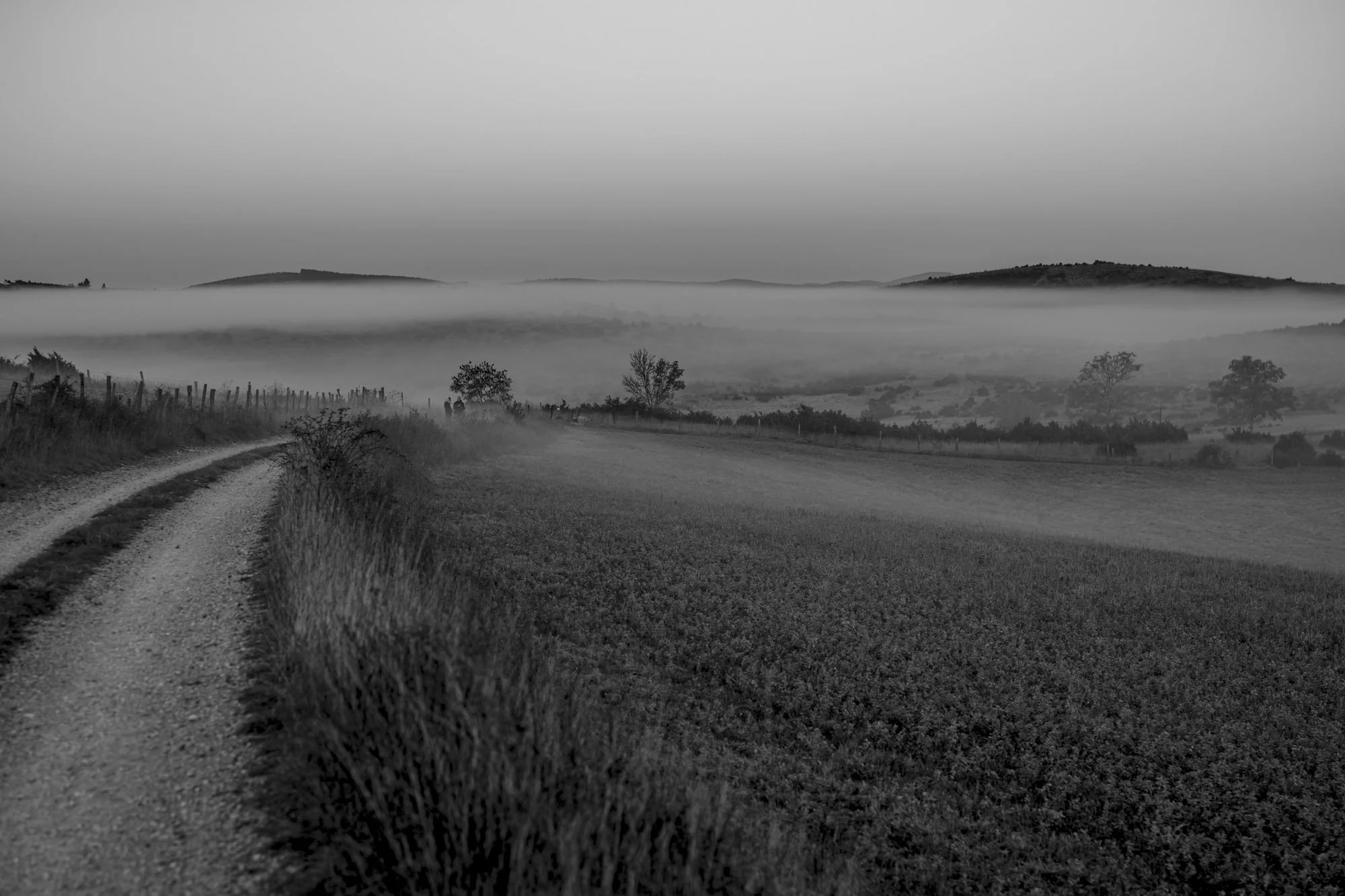 Série photo de Philippe Alliel en noir et blanc dans les Cévennes en Lozère
