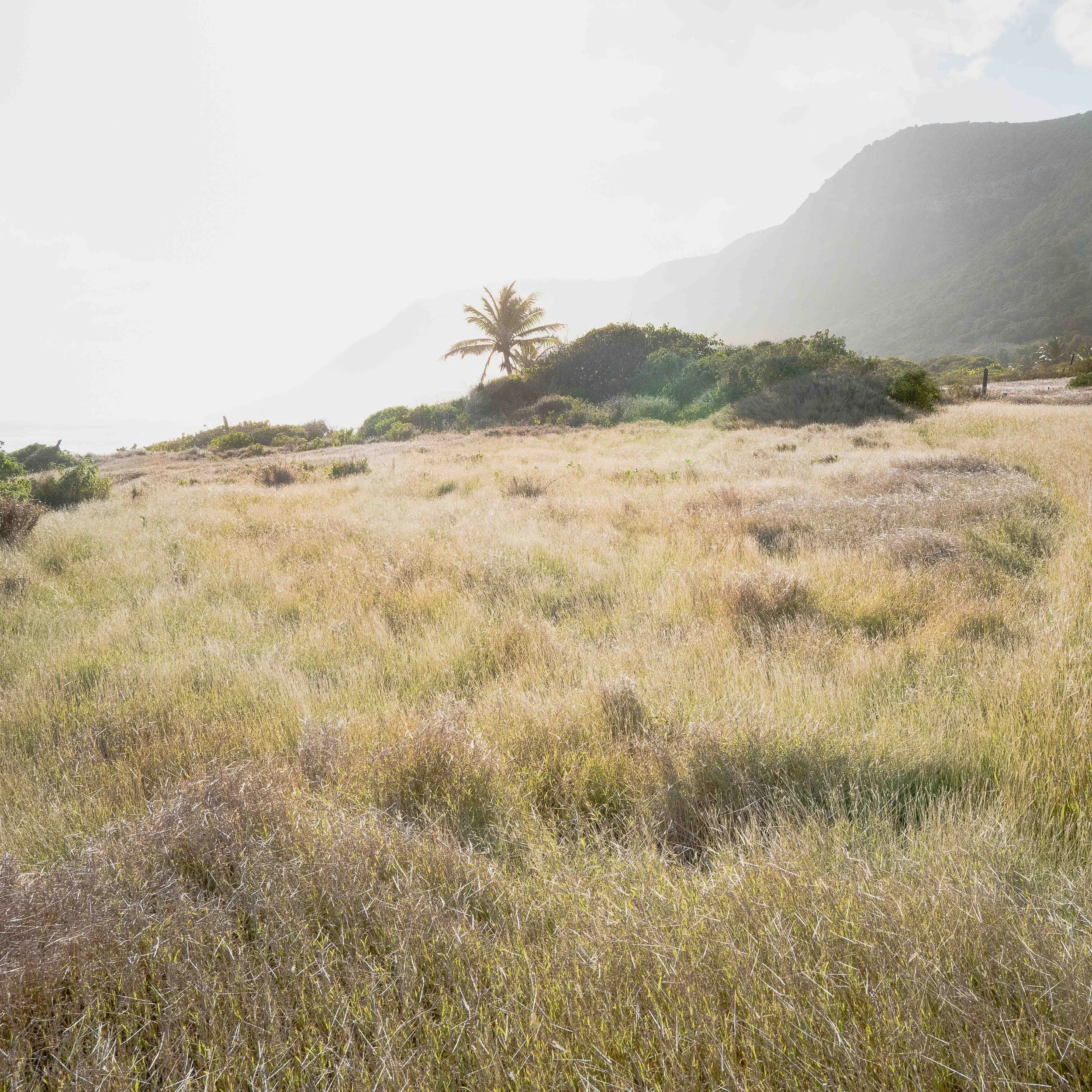 Photographie prise à la Désirade, révélant l'envers du décor paradisiaque entre stigmates du passé et présence humaine discrète. Photographie issue de la série "InDésirade" de Sophie Tournois, développée dans le cadre du mentorat photo en ligne de Pr