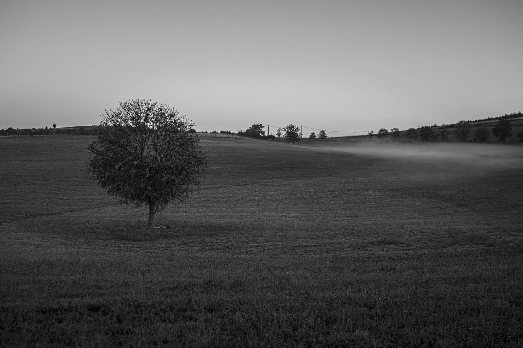 Série photo de Philippe Alliel en noir et blanc dans les Cévennes en Lozère
