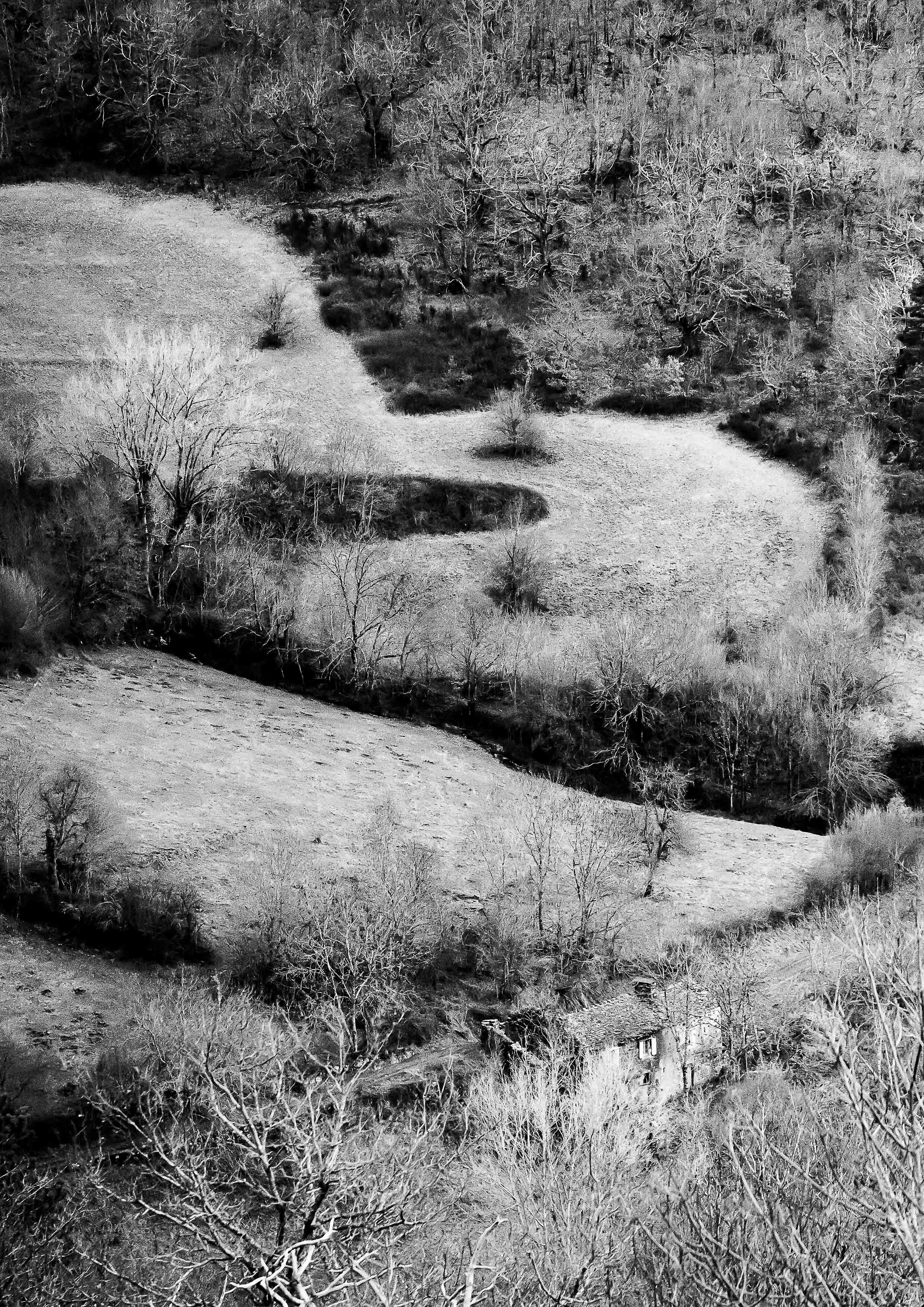 Paysage de la Lozère, capturant sa beauté rude, ses contrastes et l'omniprésence du vent. Photographie issue de la série de Jean-François Pighin, développée dans le cadre du mentorat photo en ligne de Préludes Photo.