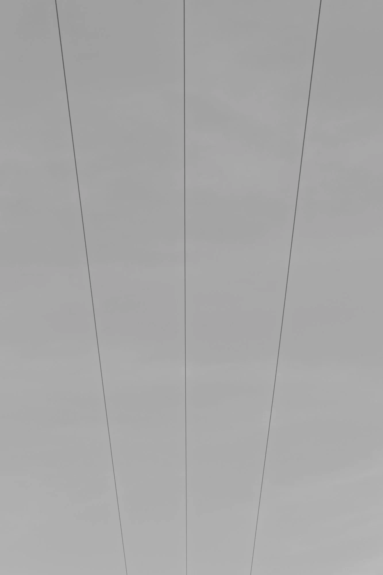 Série photo de Reynald Bégin en noir et blanc dans les Cévennes en Lozère