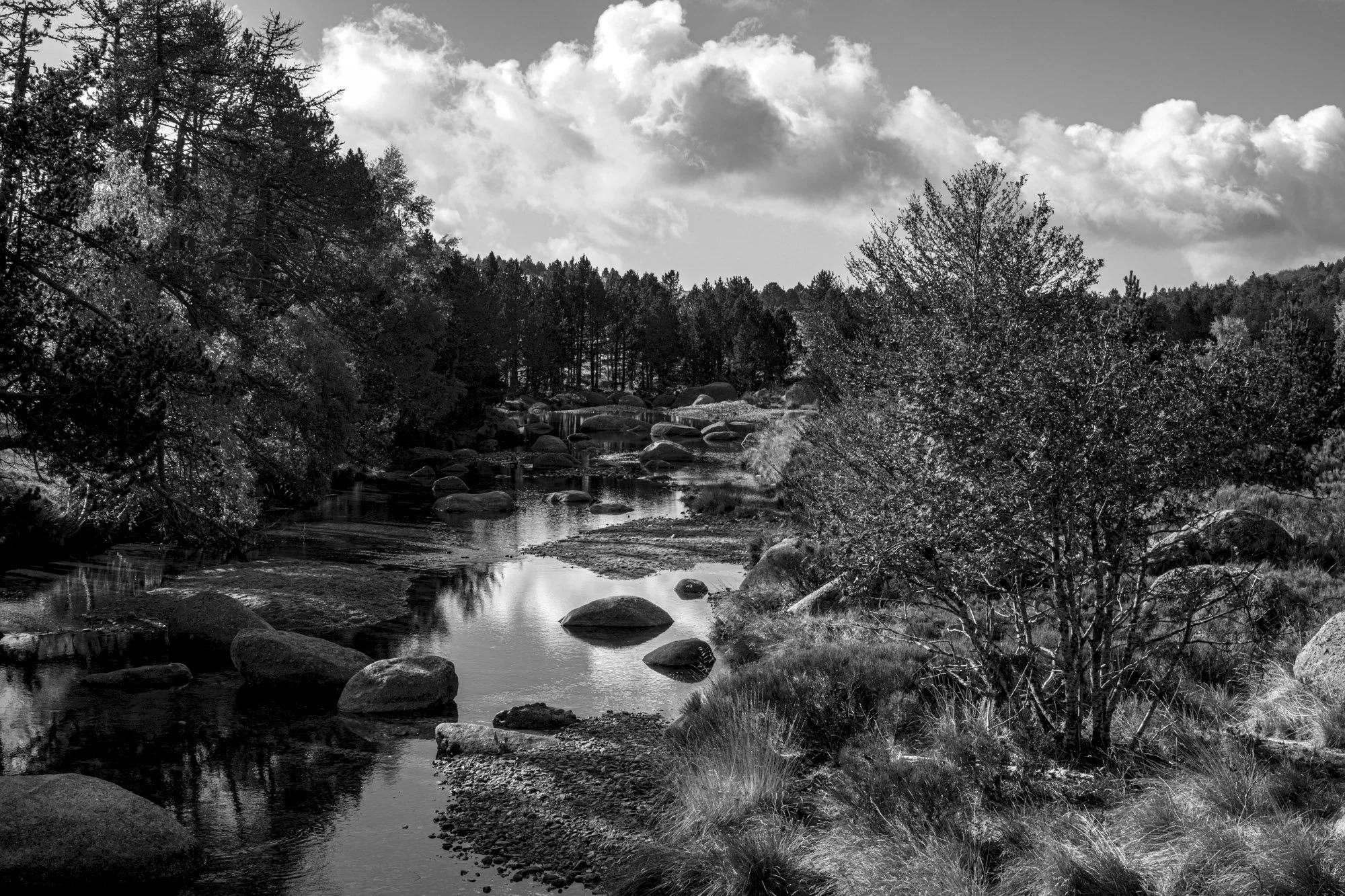 Série photo de Philippe Alliel en noir et blanc dans les Cévennes en Lozère