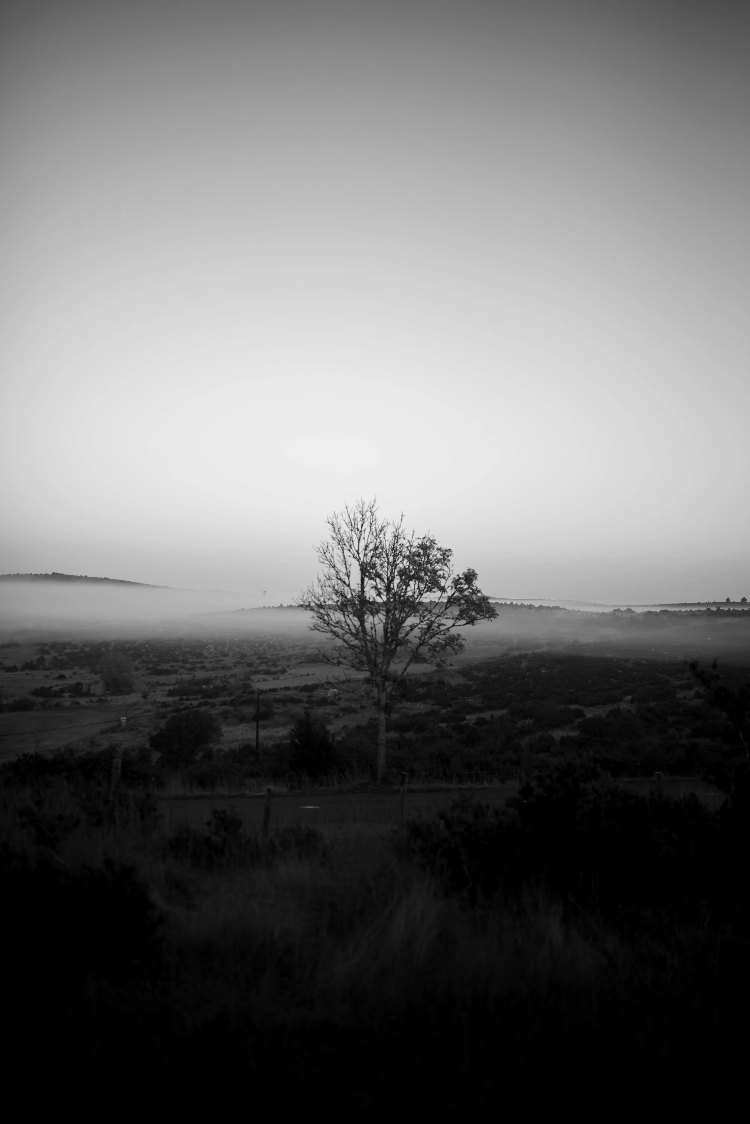 Série photo de Cécile Chauveau en noir et blanc dans les Cévennes en Lozère