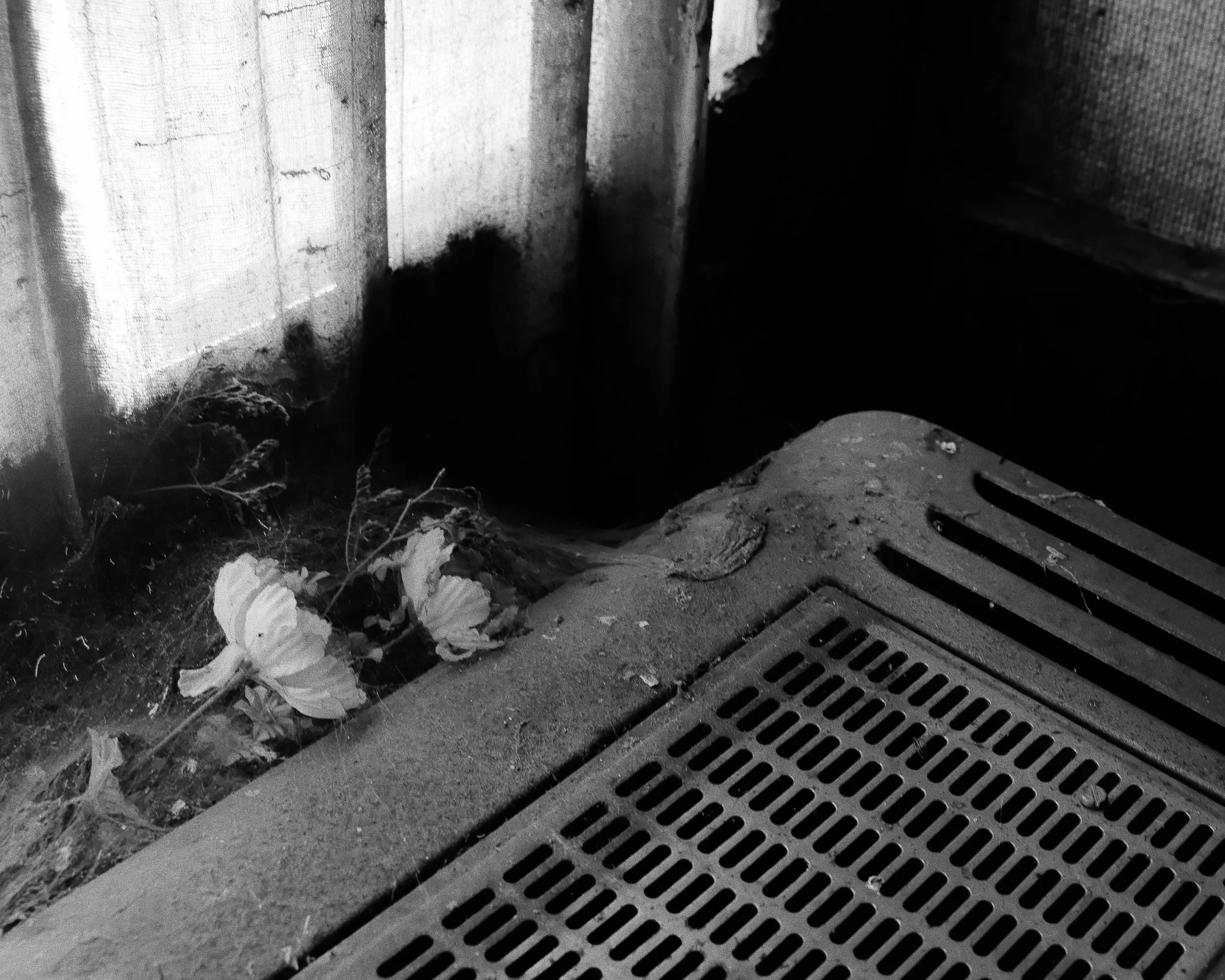 Photographie évoquant l'errance, les souvenirs et la nostalgie. Photographie issue de la série "In Between Days" de Christophe Daviau, développée dans le cadre du mentorat photo en ligne de Préludes Photo.