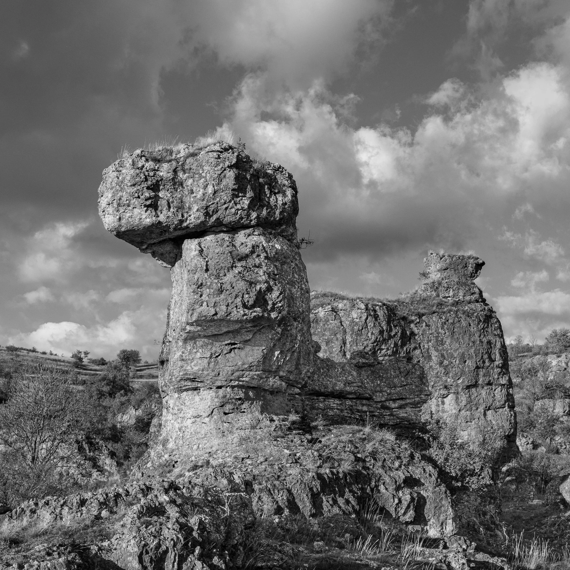 Série photo de Dominique Delorme en noir et blanc dans les Cévennes en Lozère
