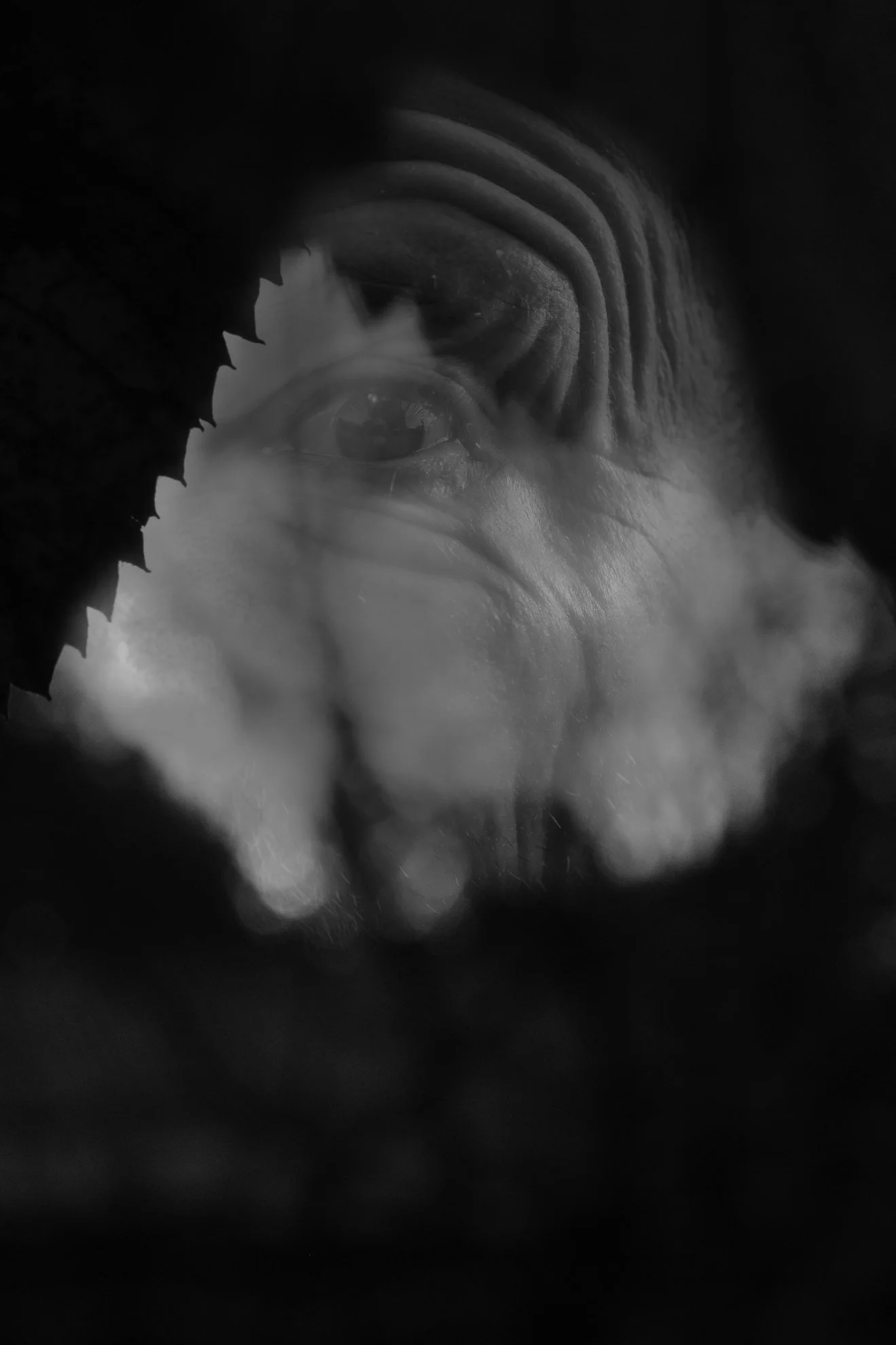 Tensions muettes et atmosphère étrange. Photographie issue de la série "Rester ici" de Maryline Cellini, développée dans le cadre du mentorat photo en ligne de Préludes Photo.