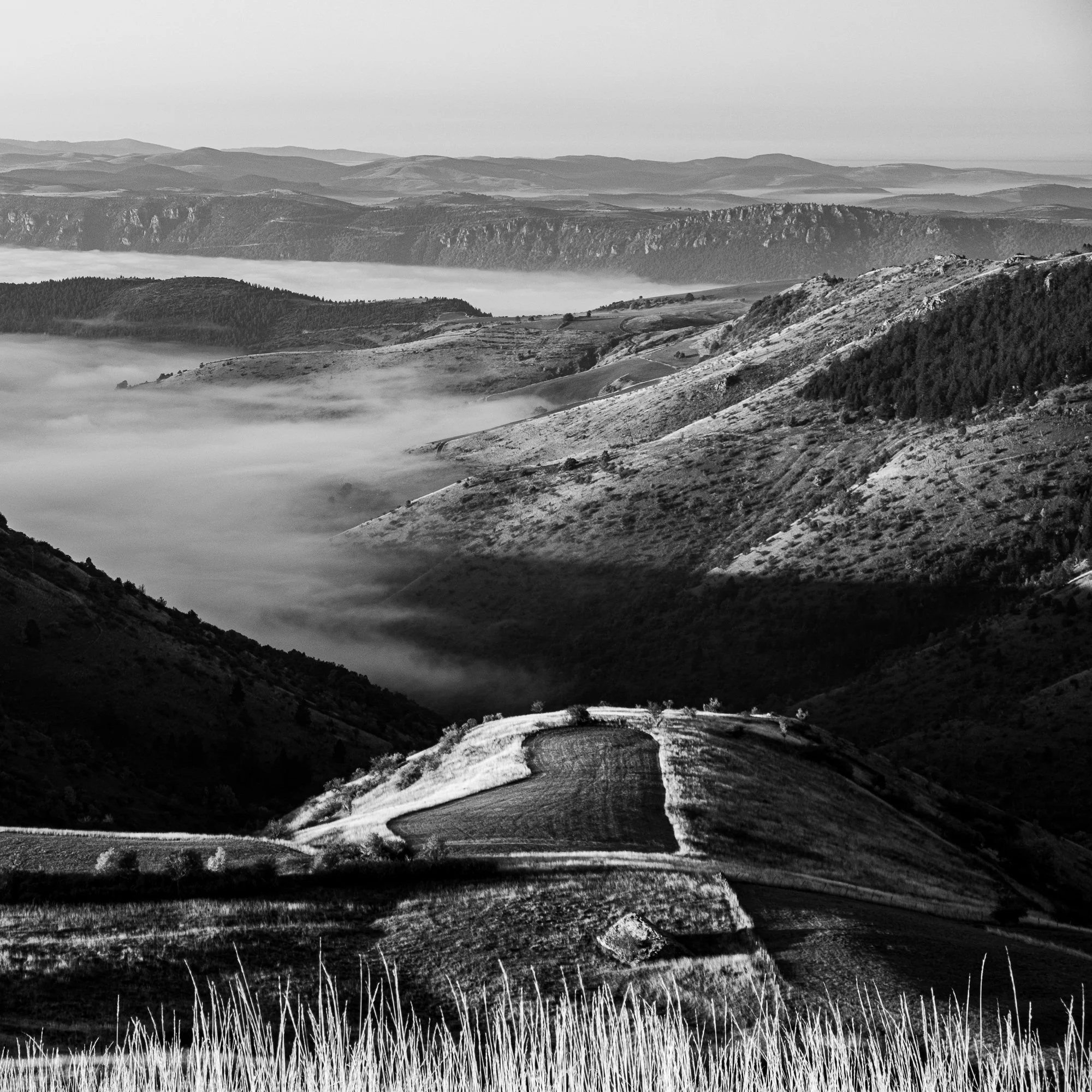 Série photo de Dominique Delorme en noir et blanc dans les Cévennes en Lozère