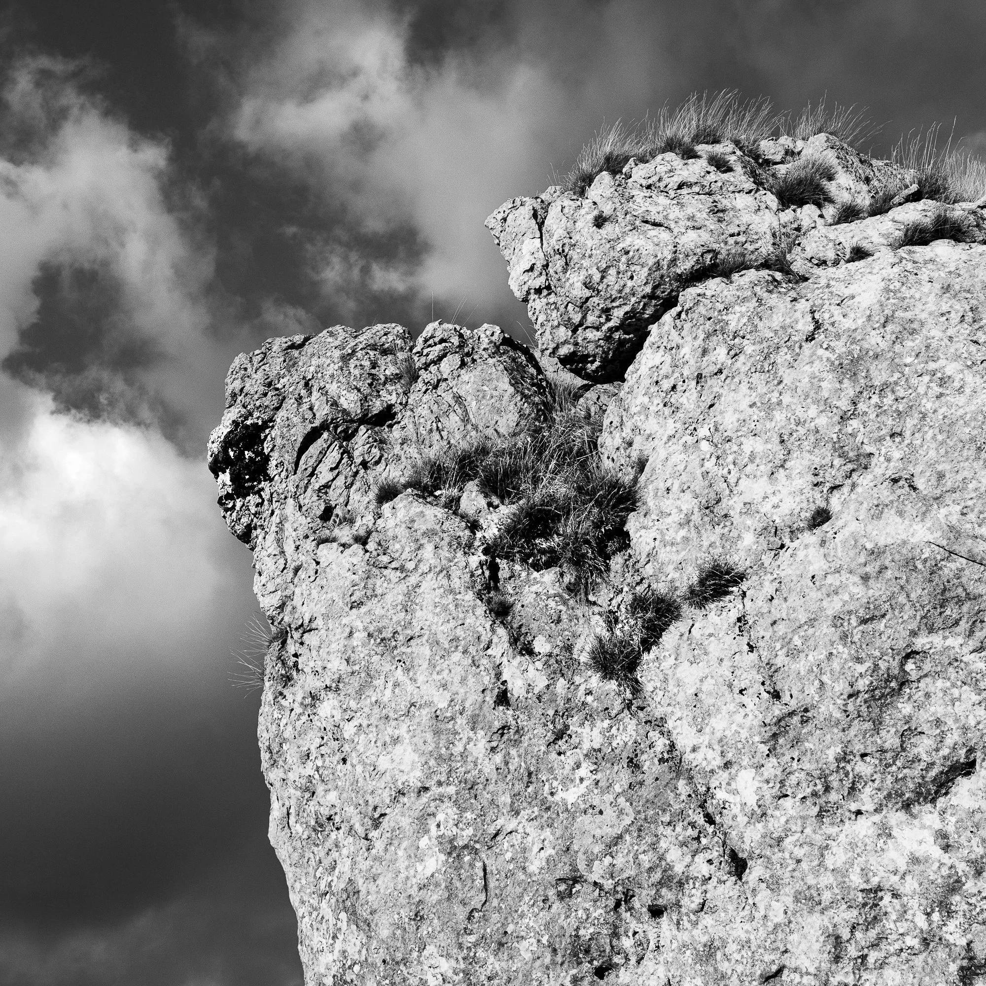 Série photo de Dominique Delorme en noir et blanc dans les Cévennes en Lozère