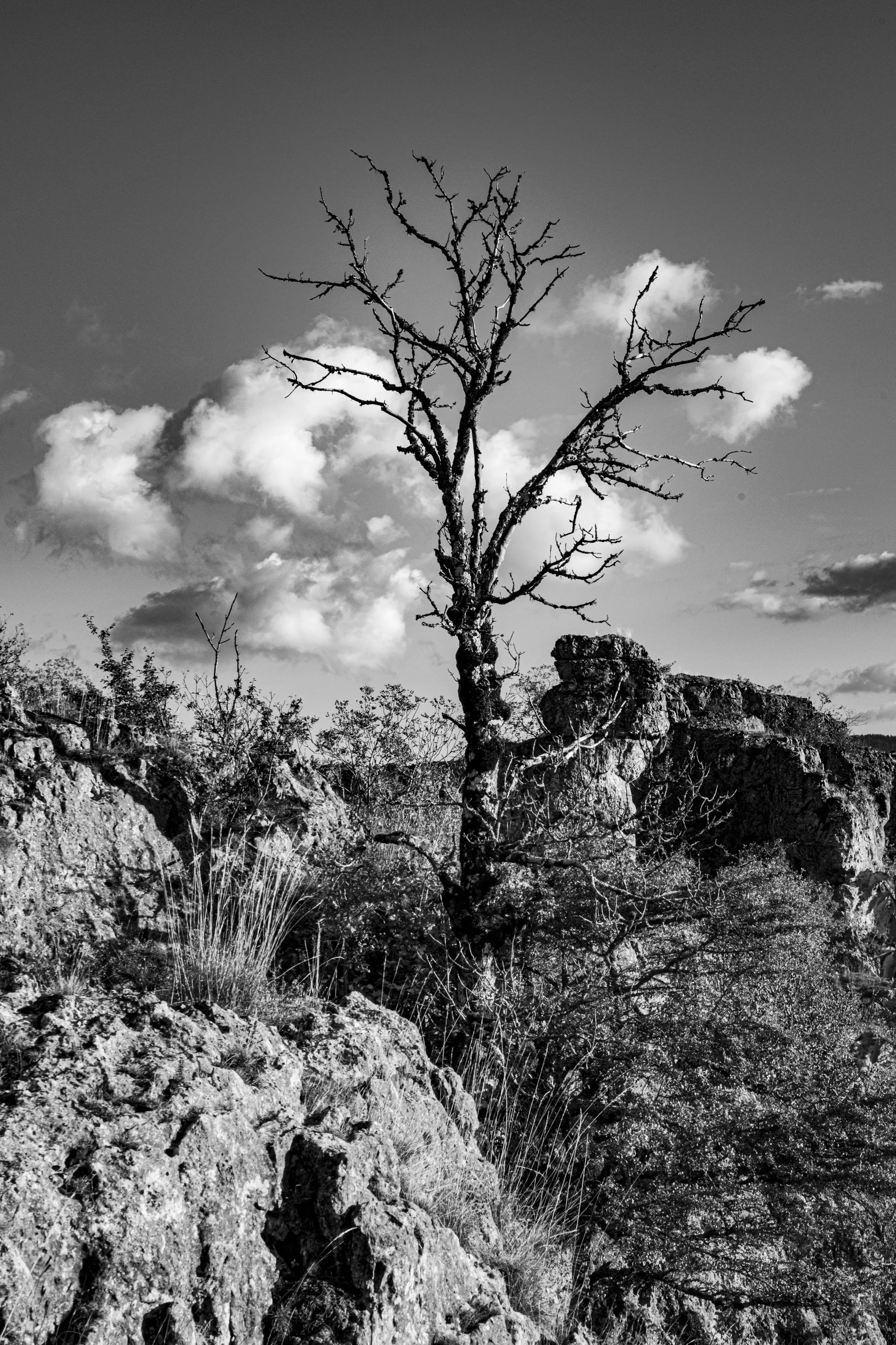 Série photo de Philippe Alliel en noir et blanc dans les Cévennes en Lozère