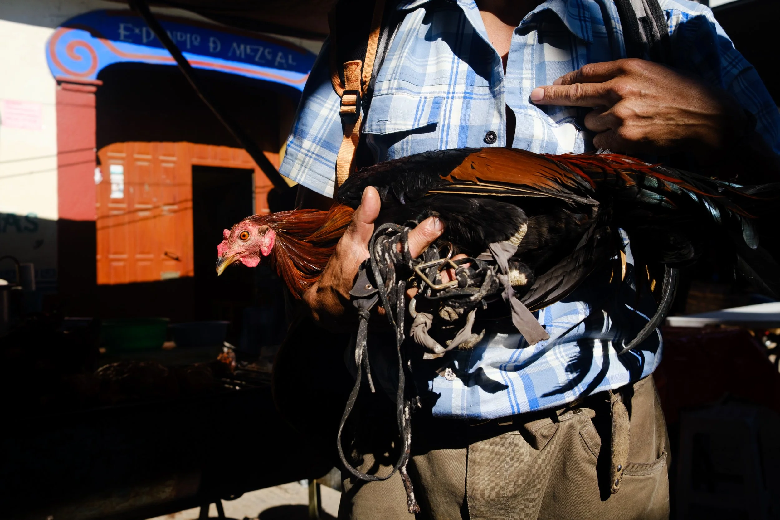 Workshop photo rue et documentaire Fête des Morts à Oaxaca au Mexique