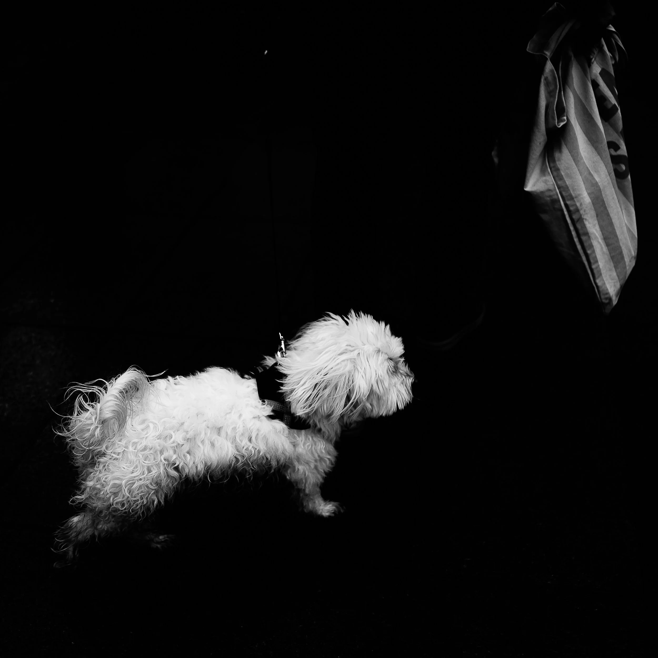 Loin des clichés touristiques, ce projet noir et blanc révèle la réalité intime et les contrastes de la capitale. Photographie issue de la série "Paris : Fragments intimes" de Claire Mornet, développée dans le cadre du mentorat photo en ligne de Prél