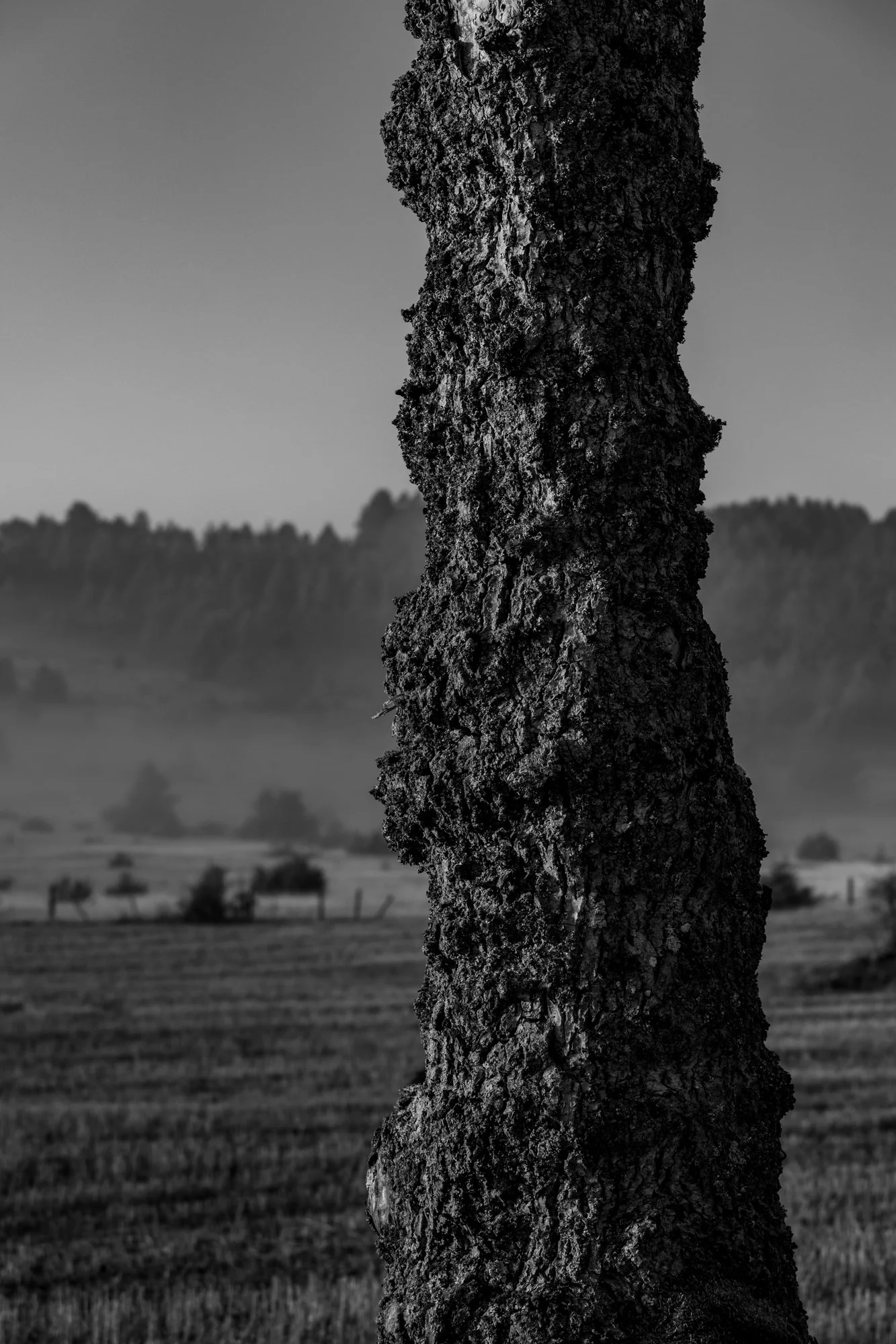 Série photo de Stéphane Ouradou en noir et blanc dans les Cévennes en Lozère