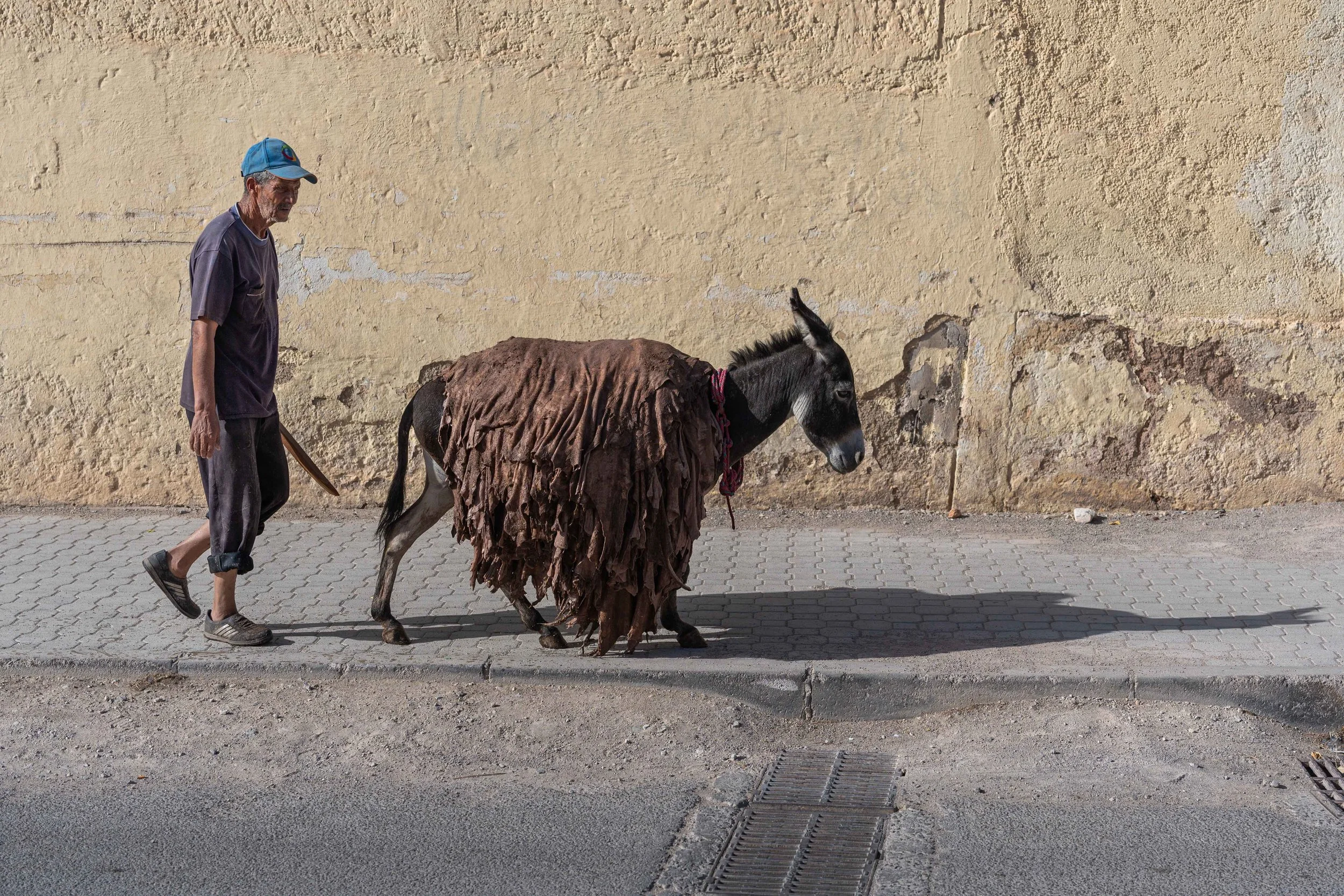 Série photo documentaire de la tannerie de Chouara à Fès
