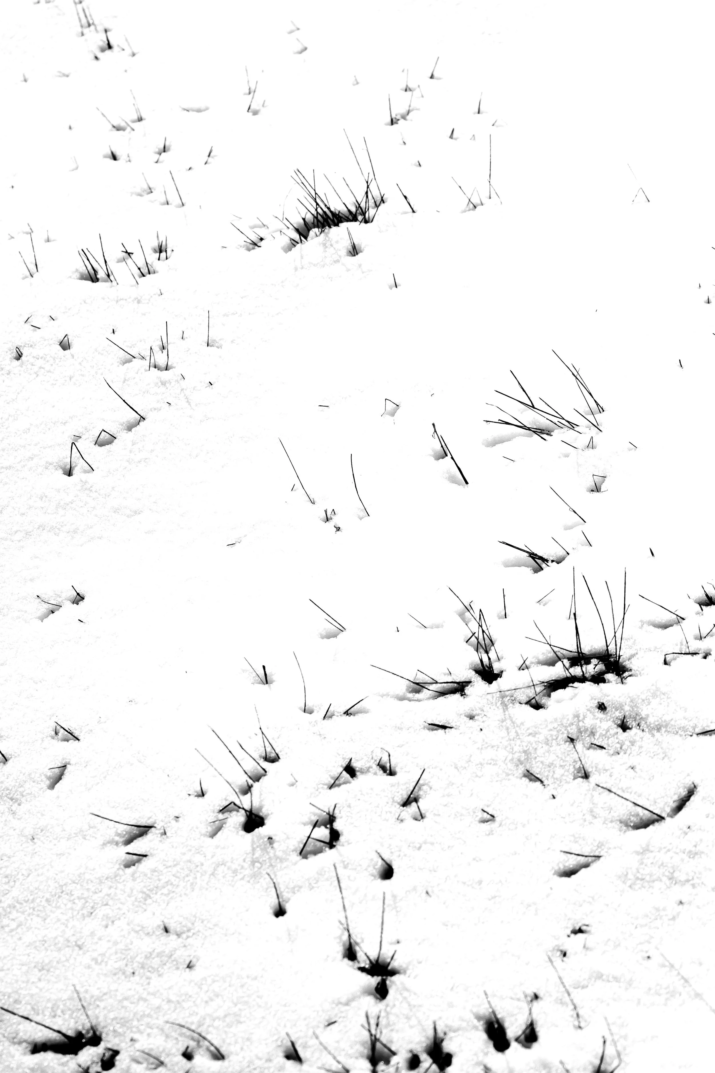 Paysage de la Lozère, capturant sa beauté rude, ses contrastes et l'omniprésence du vent. Photographie issue de la série de Jean-François Pighin, développée dans le cadre du mentorat photo en ligne de Préludes Photo.
