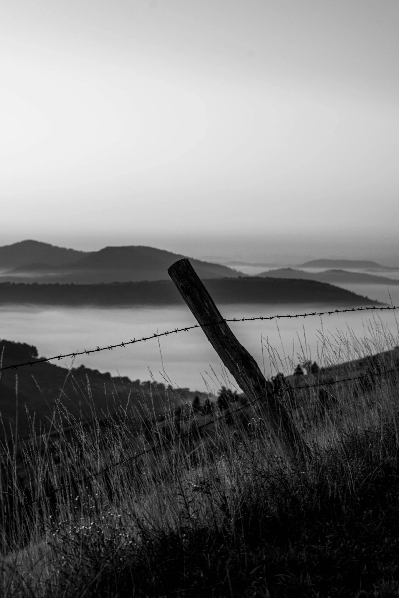 Série photo de Chris Branruz en noir et blanc dans les Cévennes en Lozère