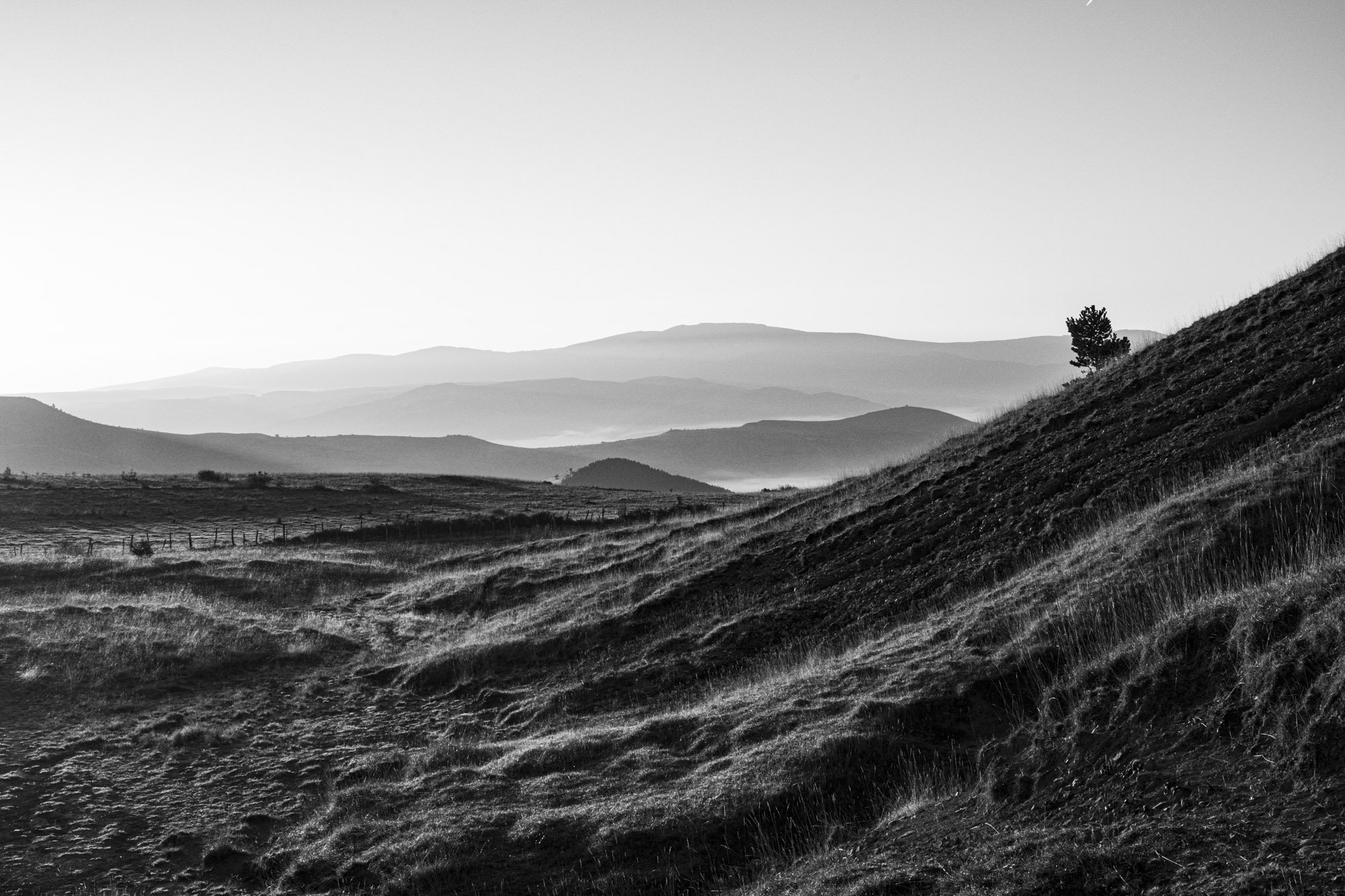 Série photo de Philippe Alliel en noir et blanc dans les Cévennes en Lozère