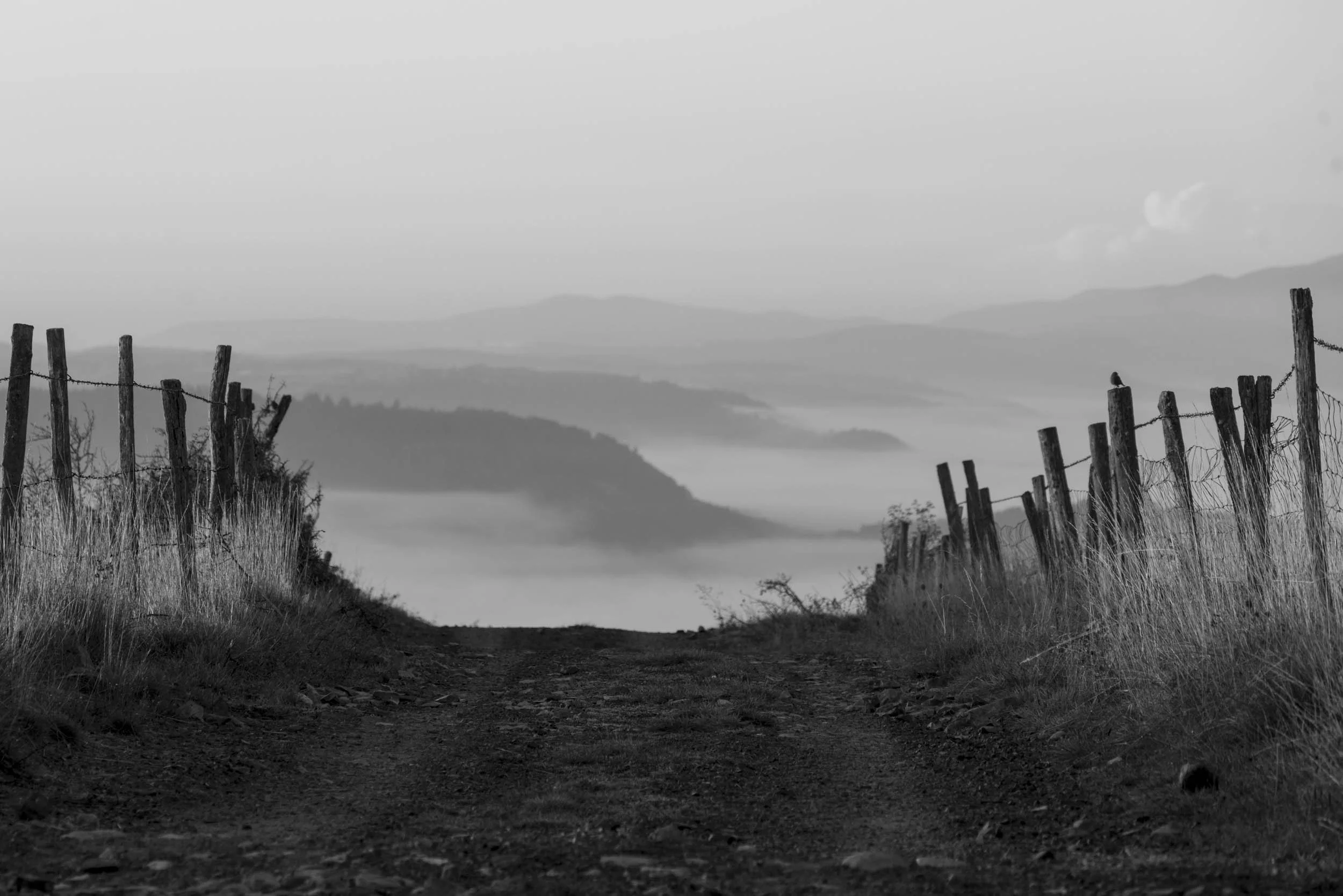 Série photo de Chris Branruz en noir et blanc dans les Cévennes en Lozère