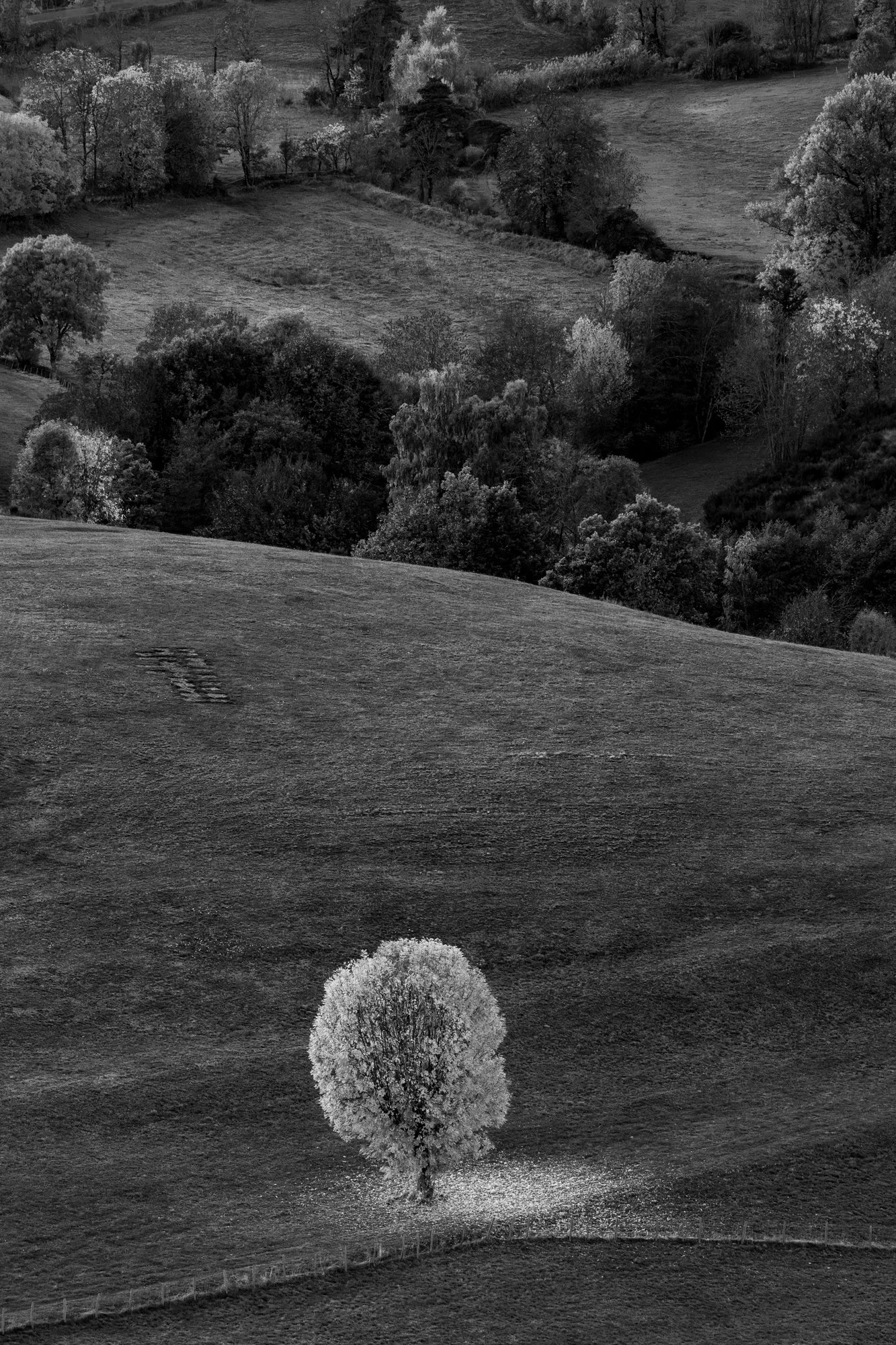 Série photo de Stéphane Ouradou en noir et blanc dans les Cévennes en Lozère