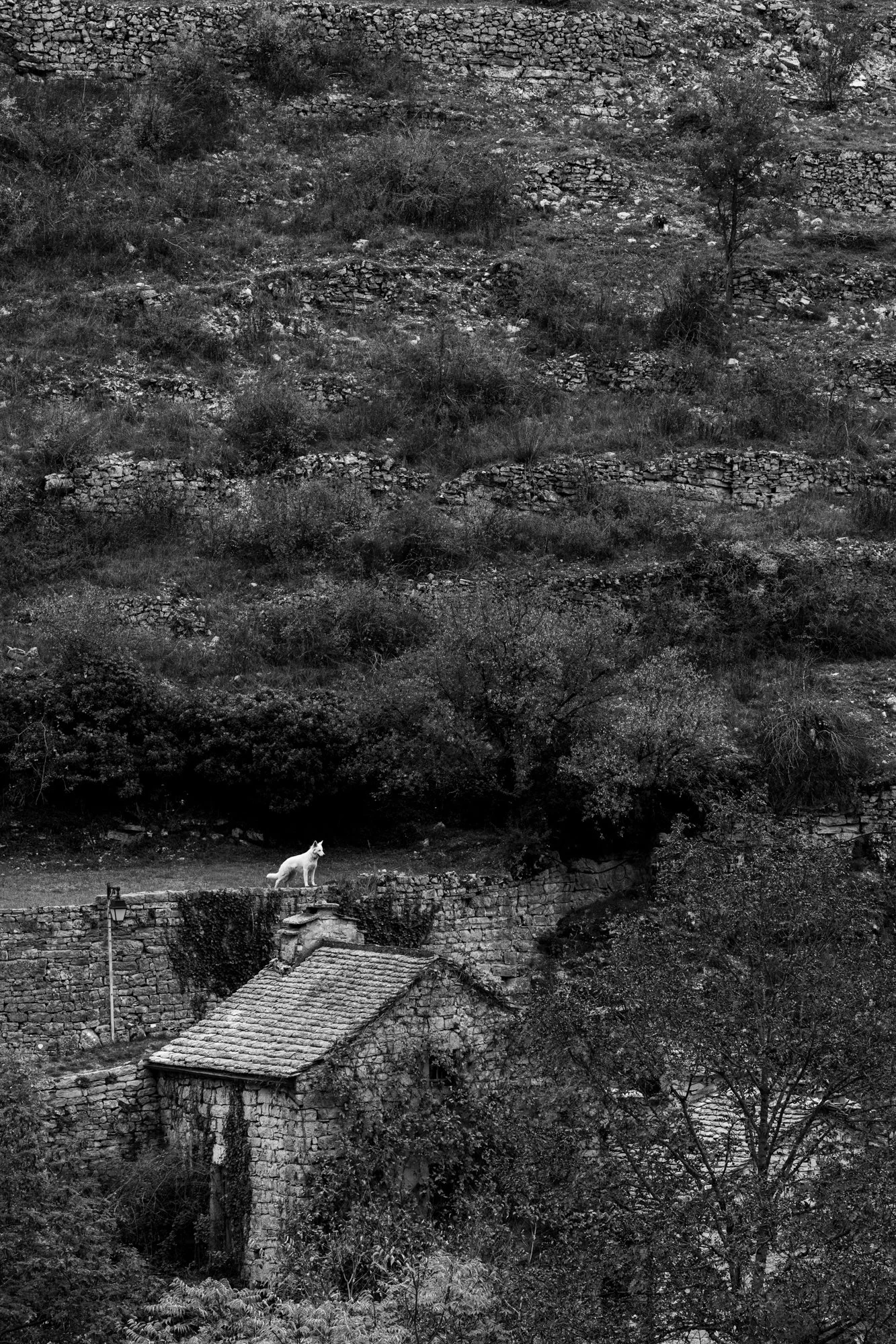 Série photo de Stéphane Ouradou en noir et blanc dans les Cévennes en Lozère