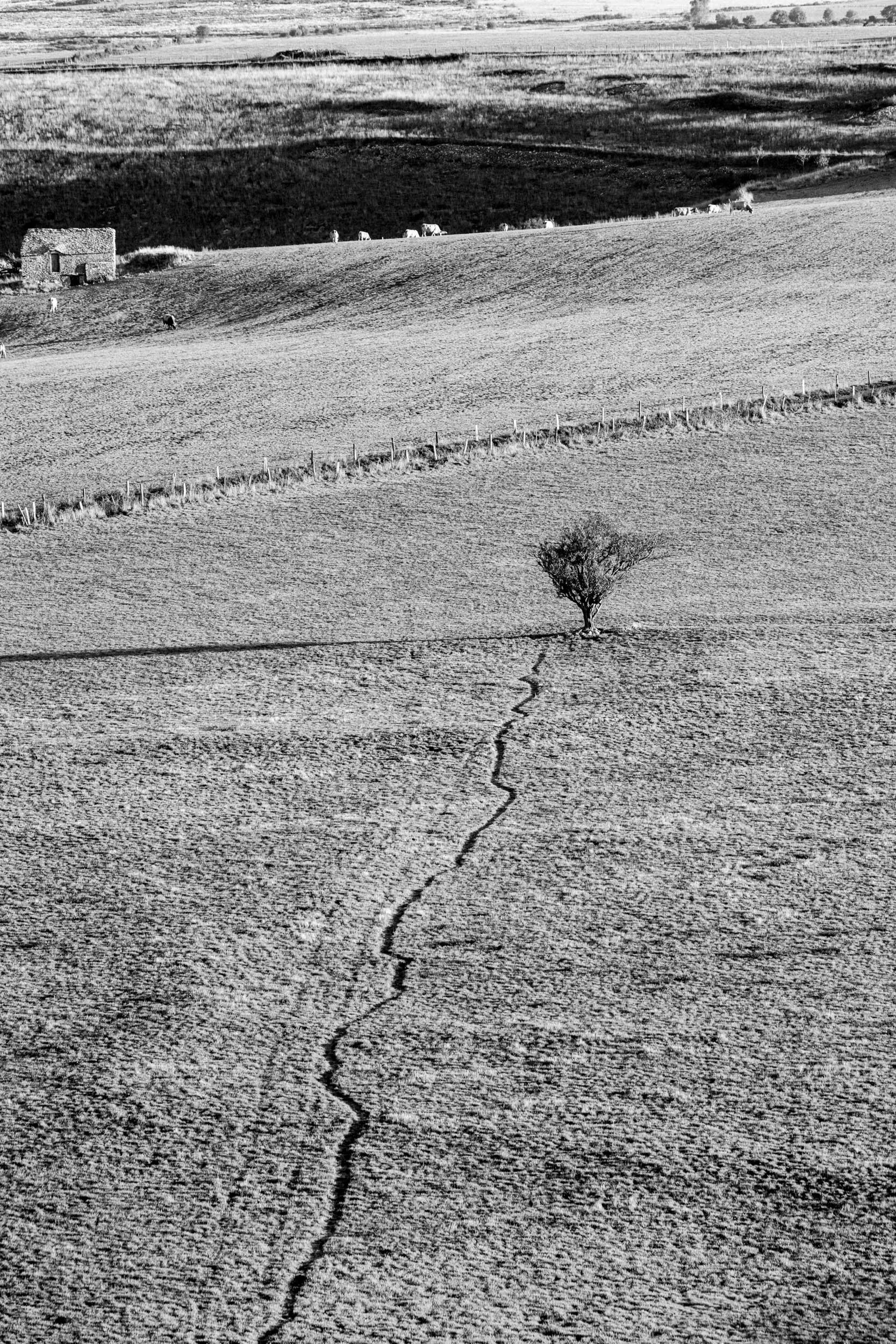Série photo de Chris Branruz en noir et blanc dans les Cévennes en Lozère