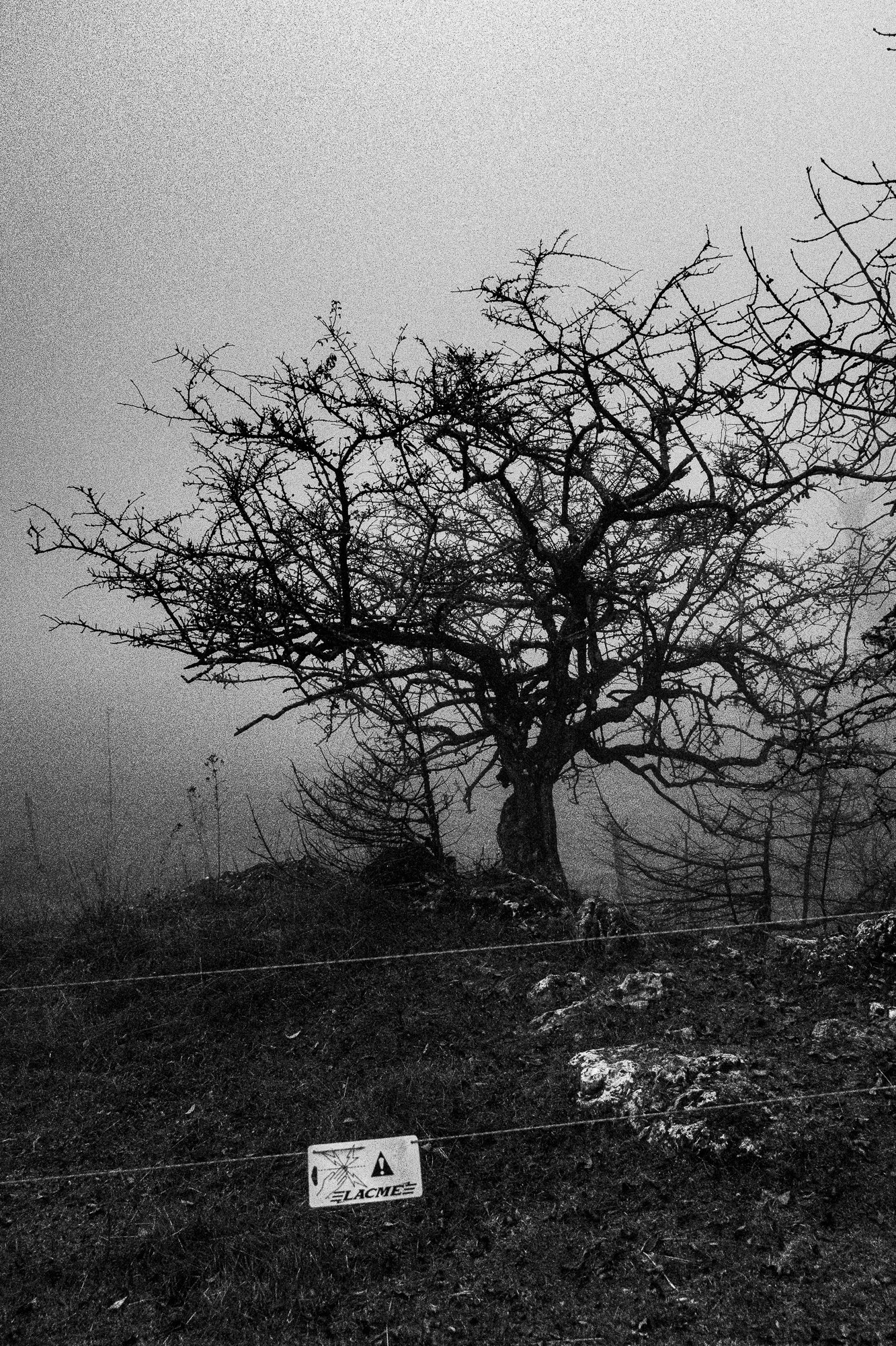 Série photo de Chris Branruz en noir et blanc dans les Cévennes en Lozère