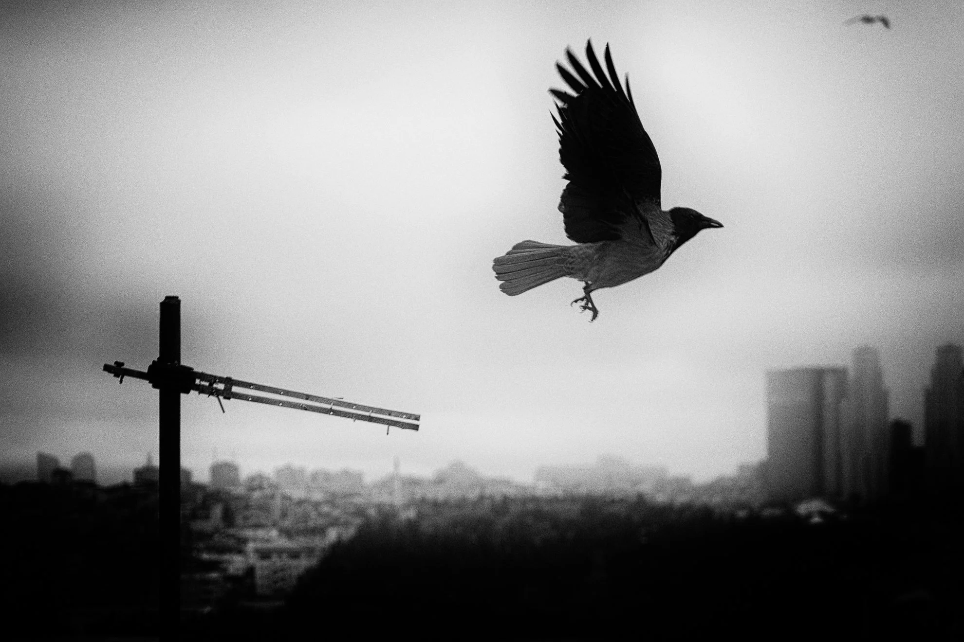 Tensions muettes et atmosphère étrange. Photographie issue de la série "Rester ici" de Maryline Cellini, développée dans le cadre du mentorat photo en ligne de Préludes Photo.