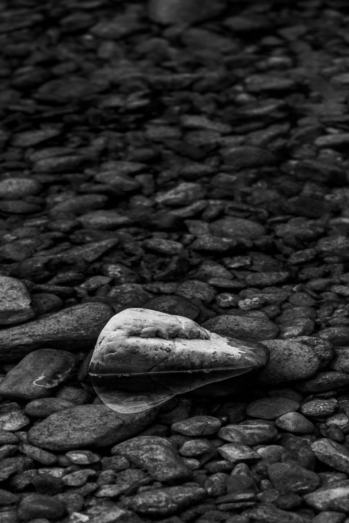 Série photo de Stéphane Ouradou en noir et blanc dans les Cévennes en Lozère