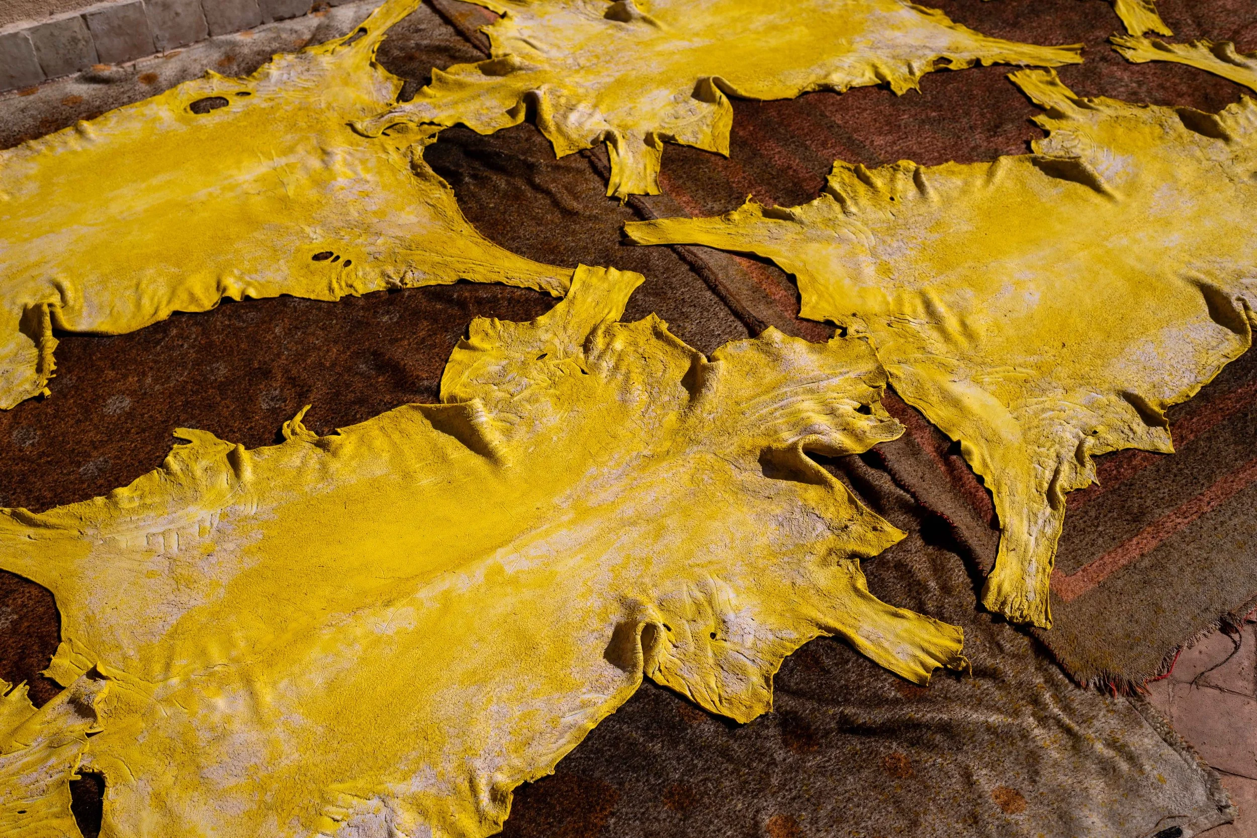 Série photo documentaire de la tannerie de Chouara à Fès