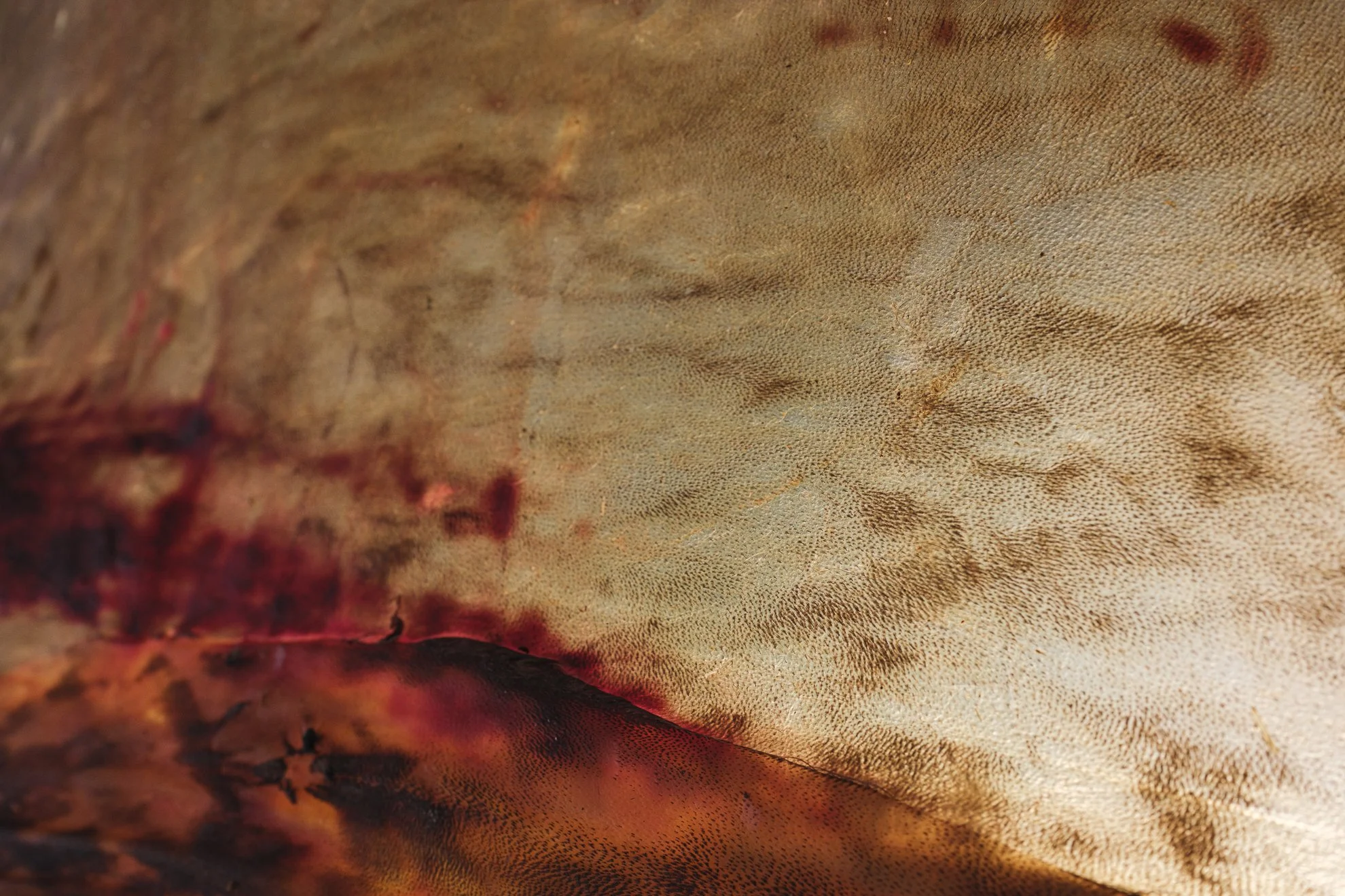 Série photo documentaire de la tannerie de Chouara à Fès