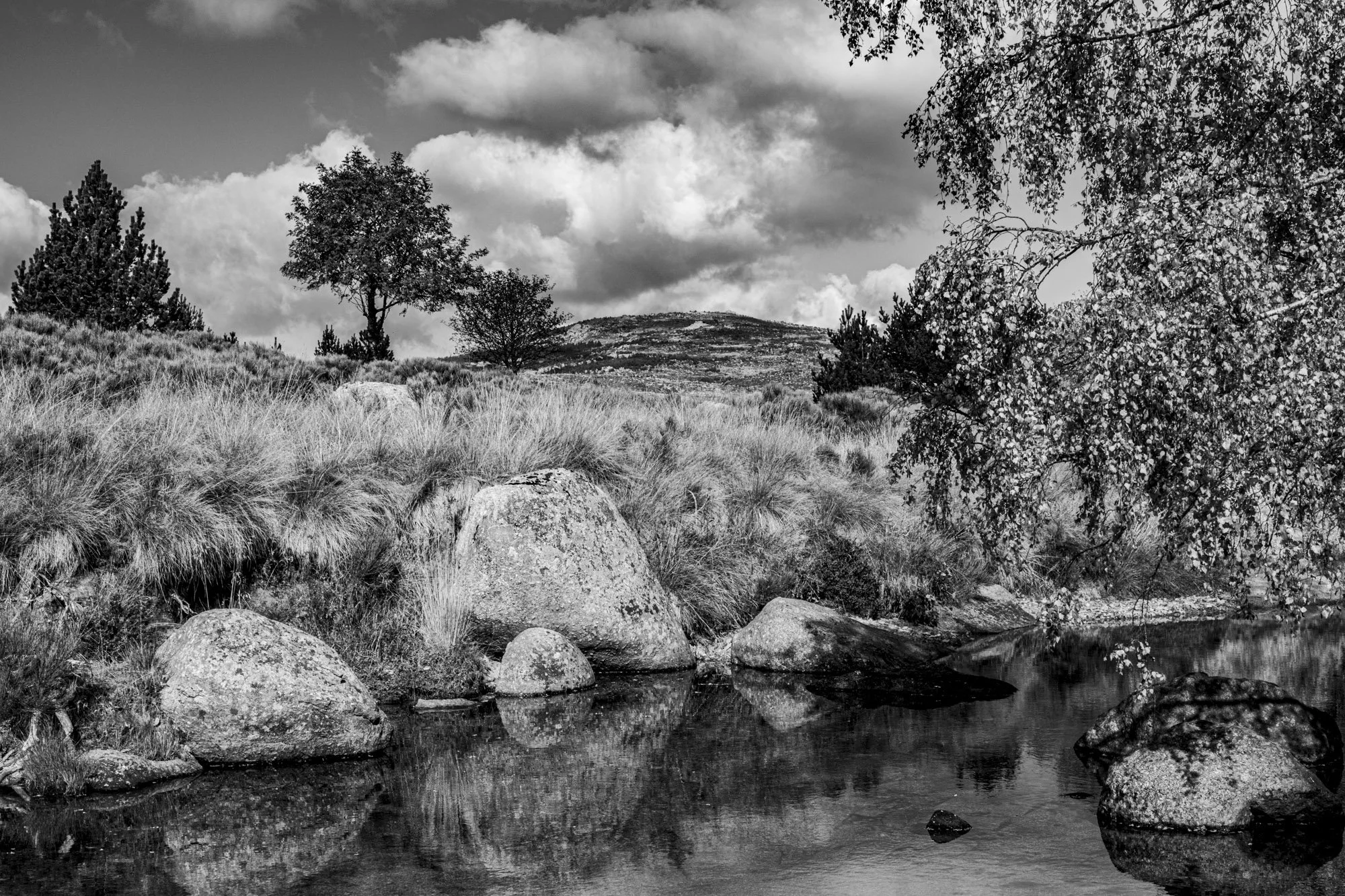 Série photo de Philippe Alliel en noir et blanc dans les Cévennes en Lozère