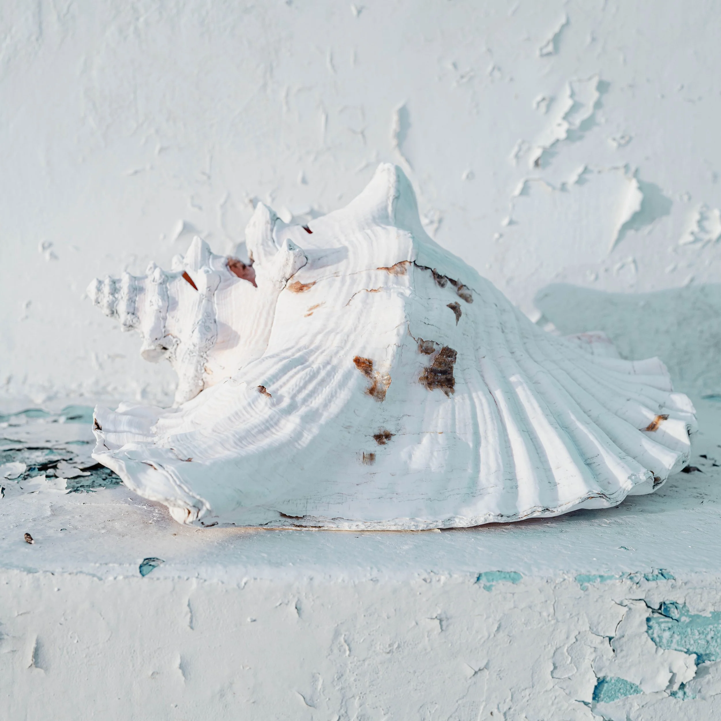 Photographie prise à la Désirade, révélant l'envers du décor paradisiaque entre stigmates du passé et présence humaine discrète. Photographie issue de la série "InDésirade" de Sophie Tournois, développée dans le cadre du mentorat photo en ligne de Pr