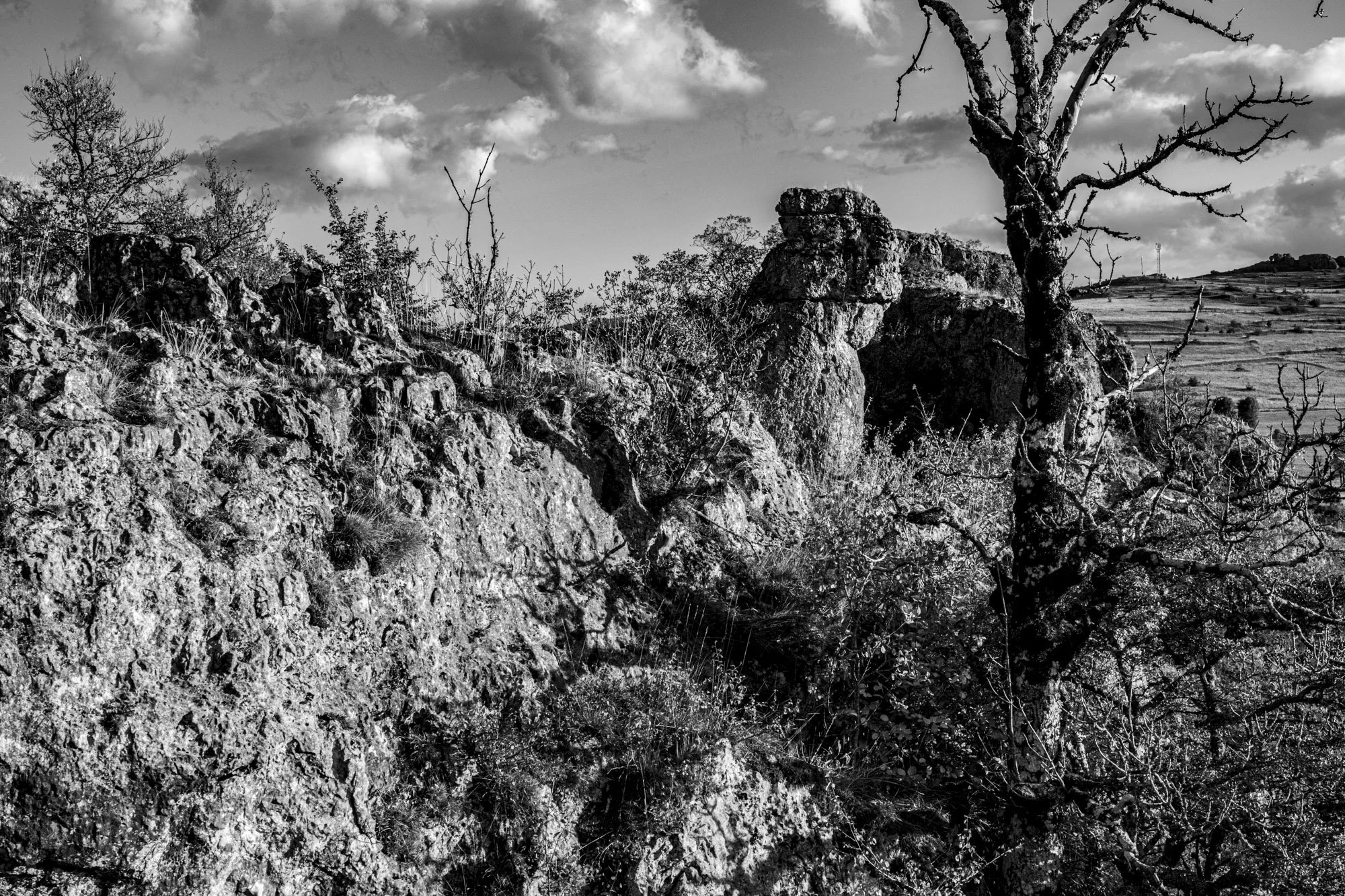 Série photo de Philippe Alliel en noir et blanc dans les Cévennes en Lozère