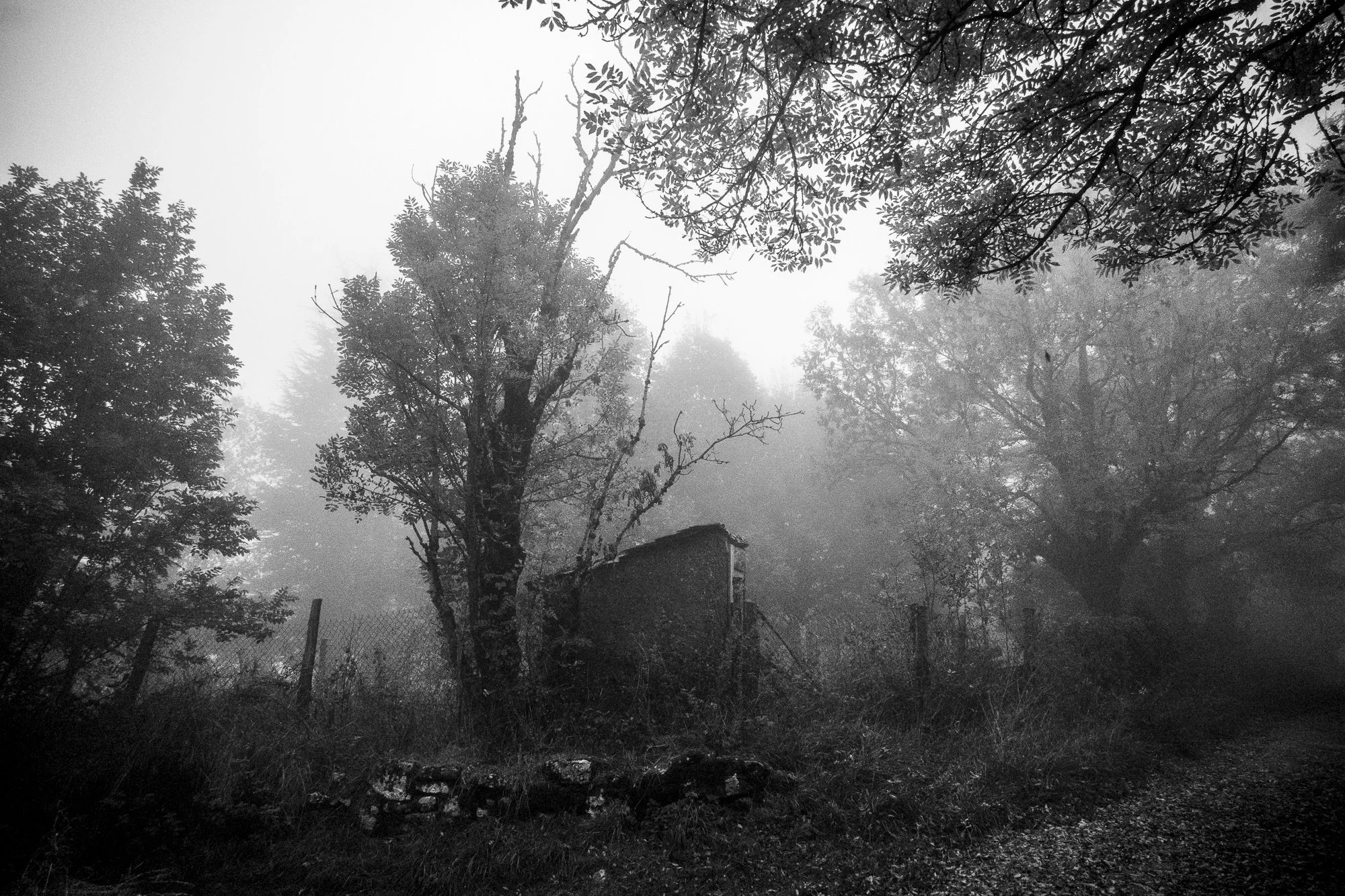 Crépuscule Cévennes | Chris Branruz