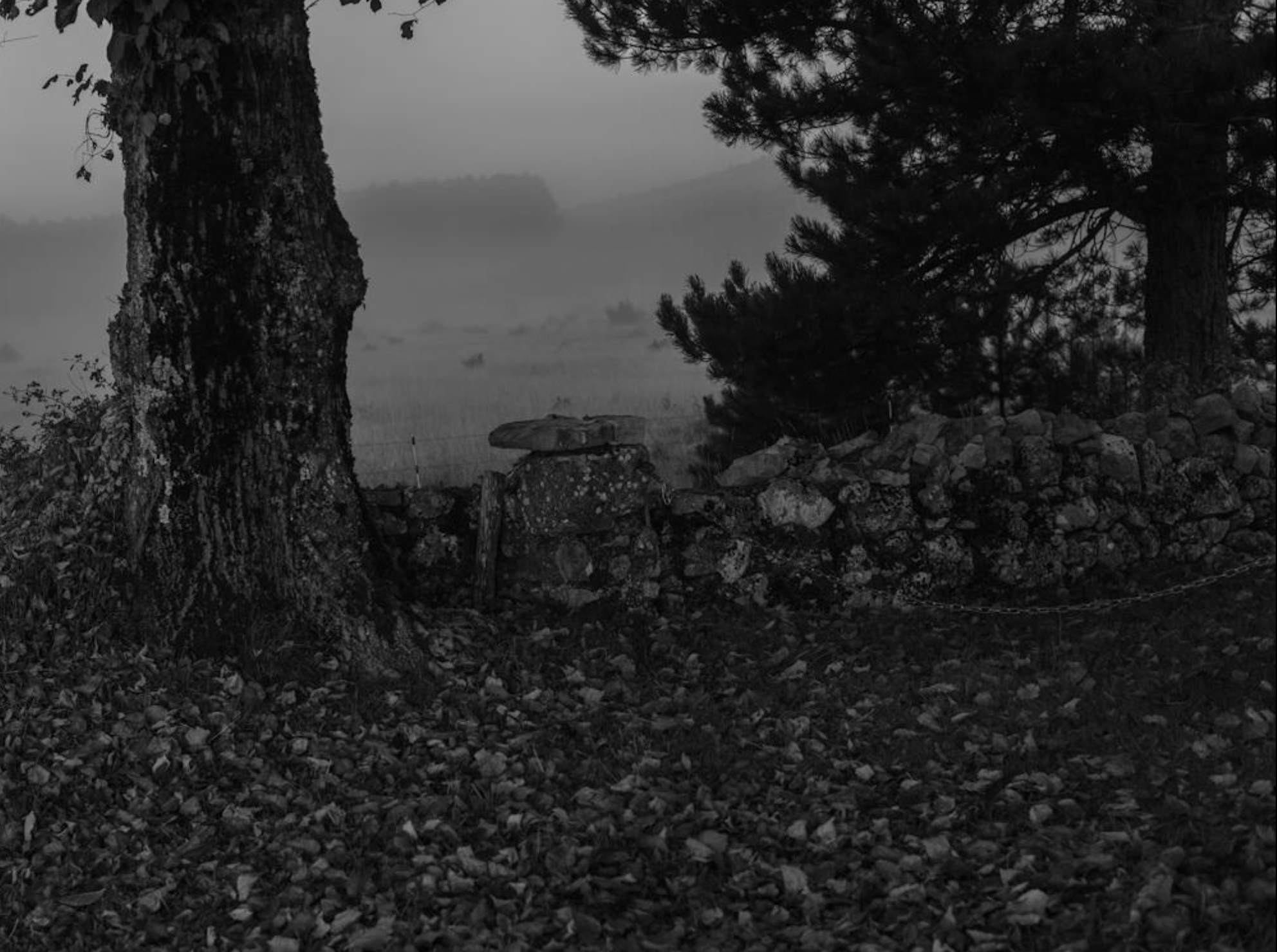 Série photo de Christian Taquet en noir et blanc dans les Cévennes en Lozère