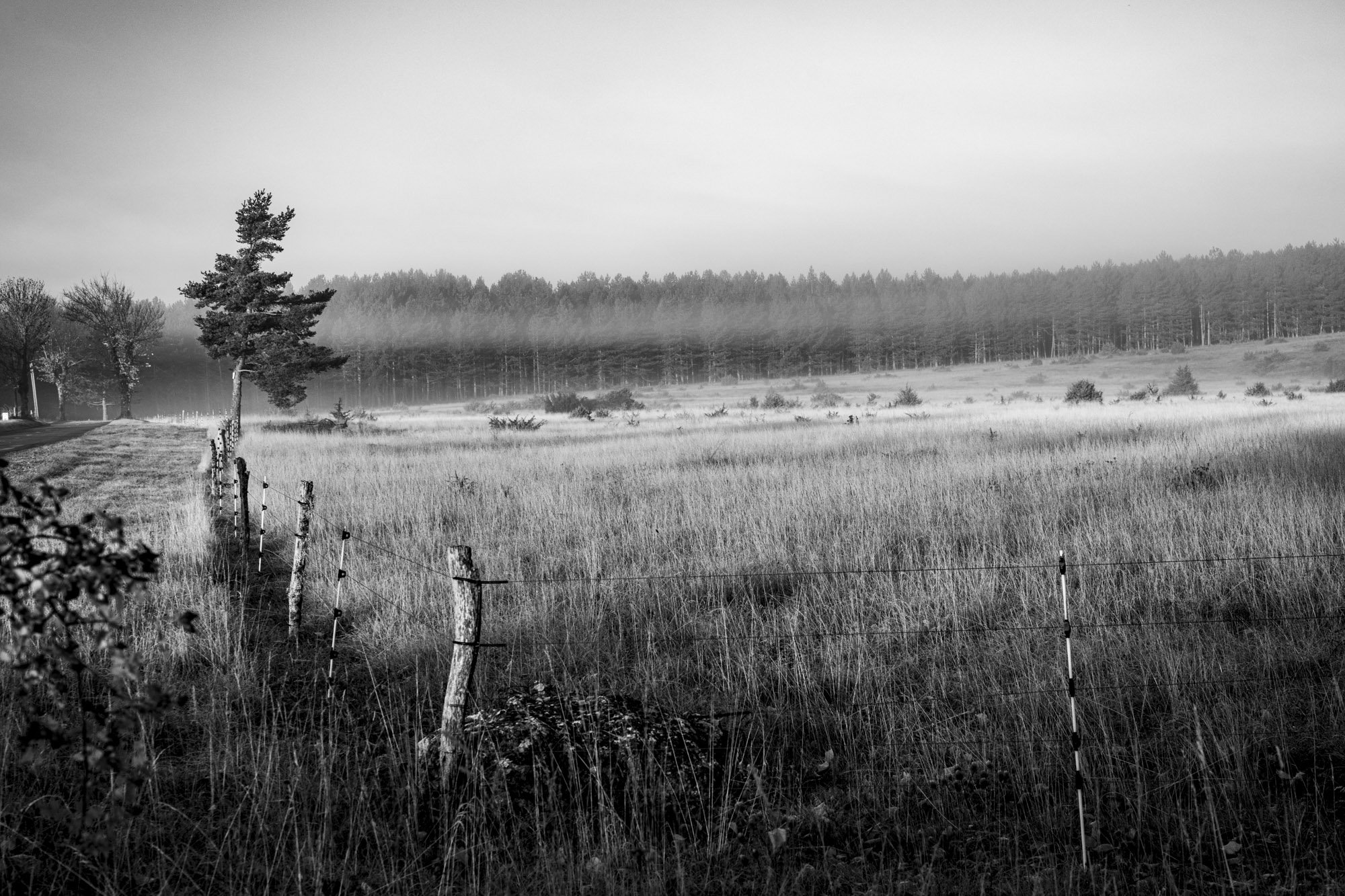 Série photo de Philippe Alliel en noir et blanc dans les Cévennes en Lozère