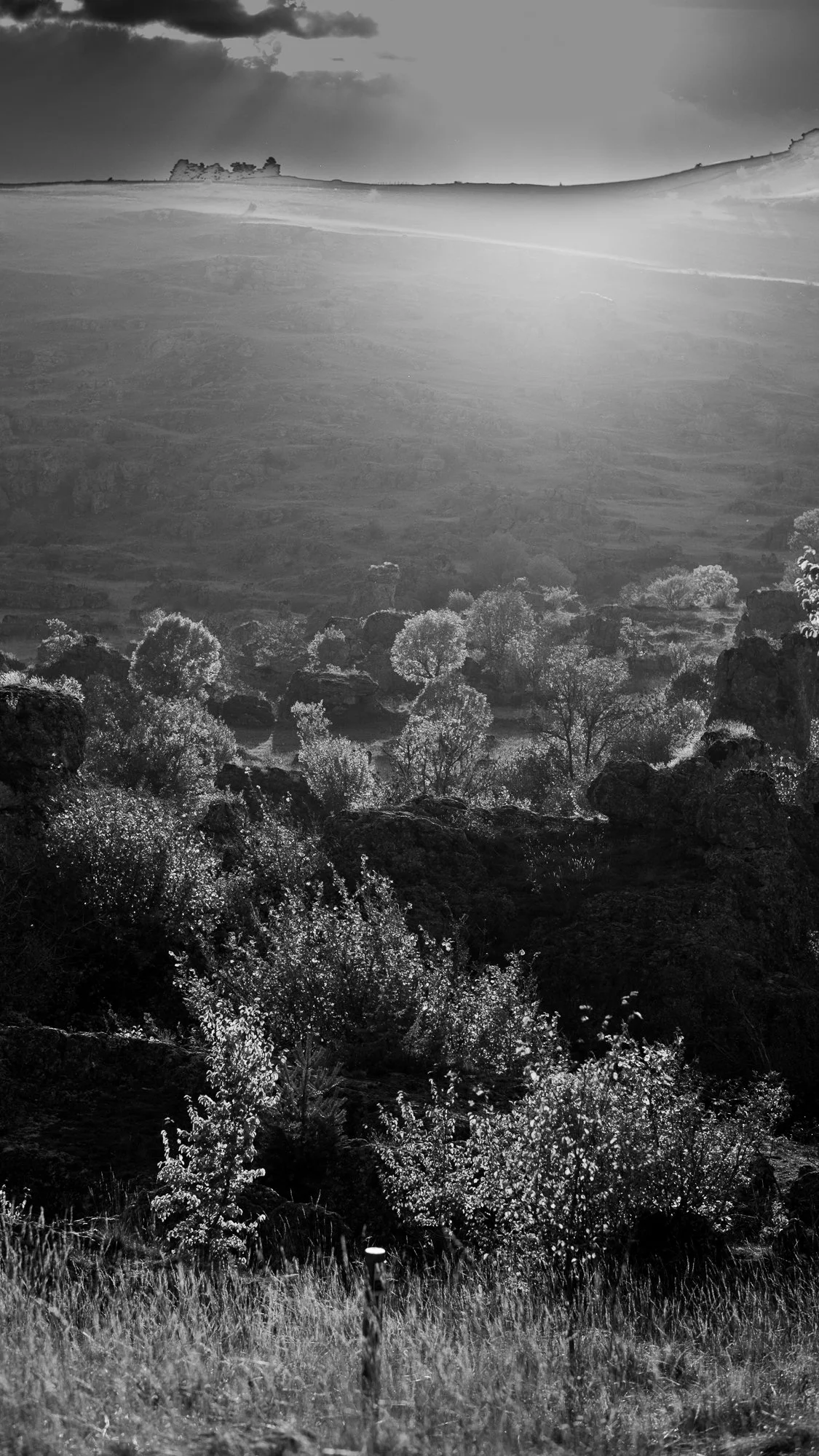 Série photo de Dominique Delorme en noir et blanc dans les Cévennes en Lozère