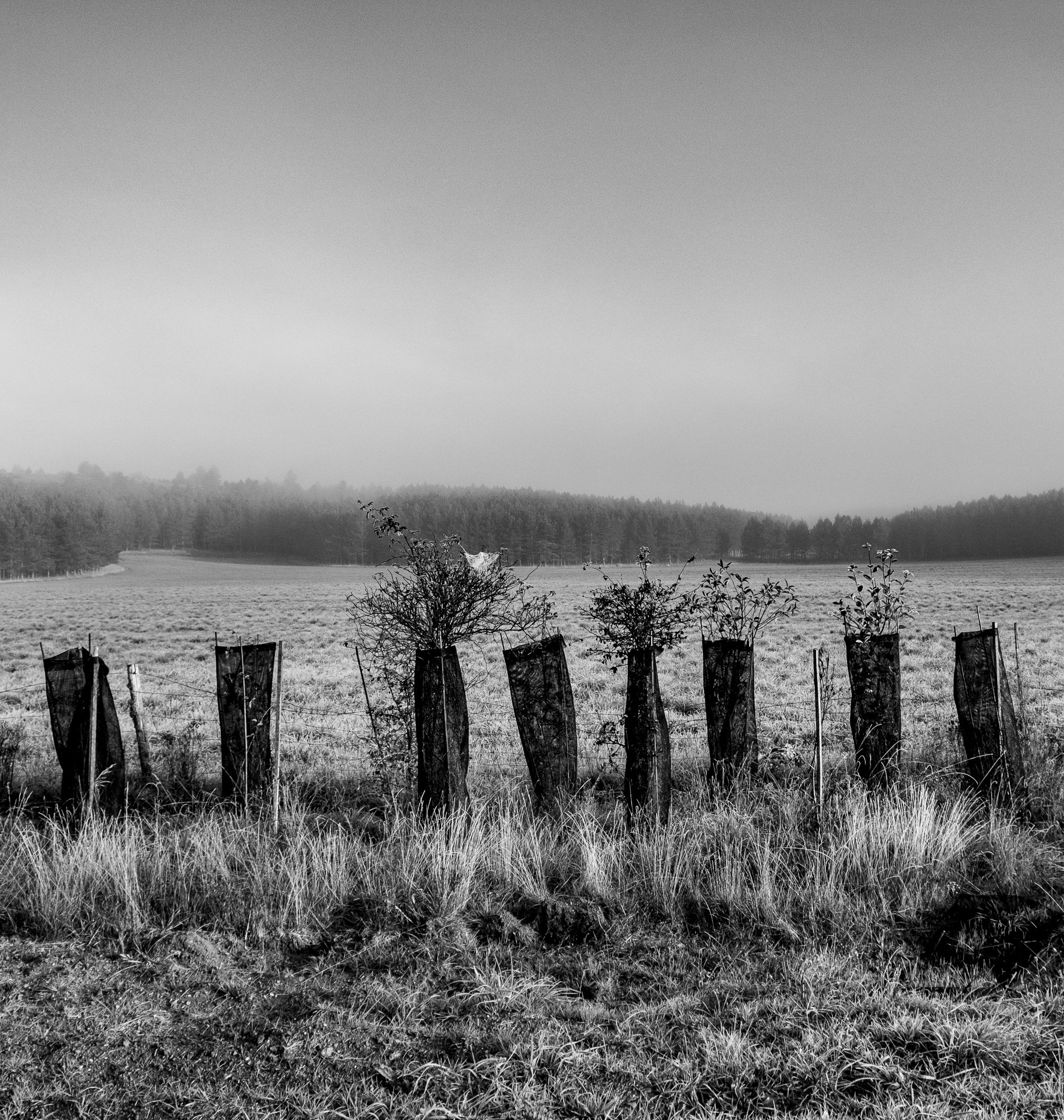 Sur les Causses, carnet de route | Dominique Delorme