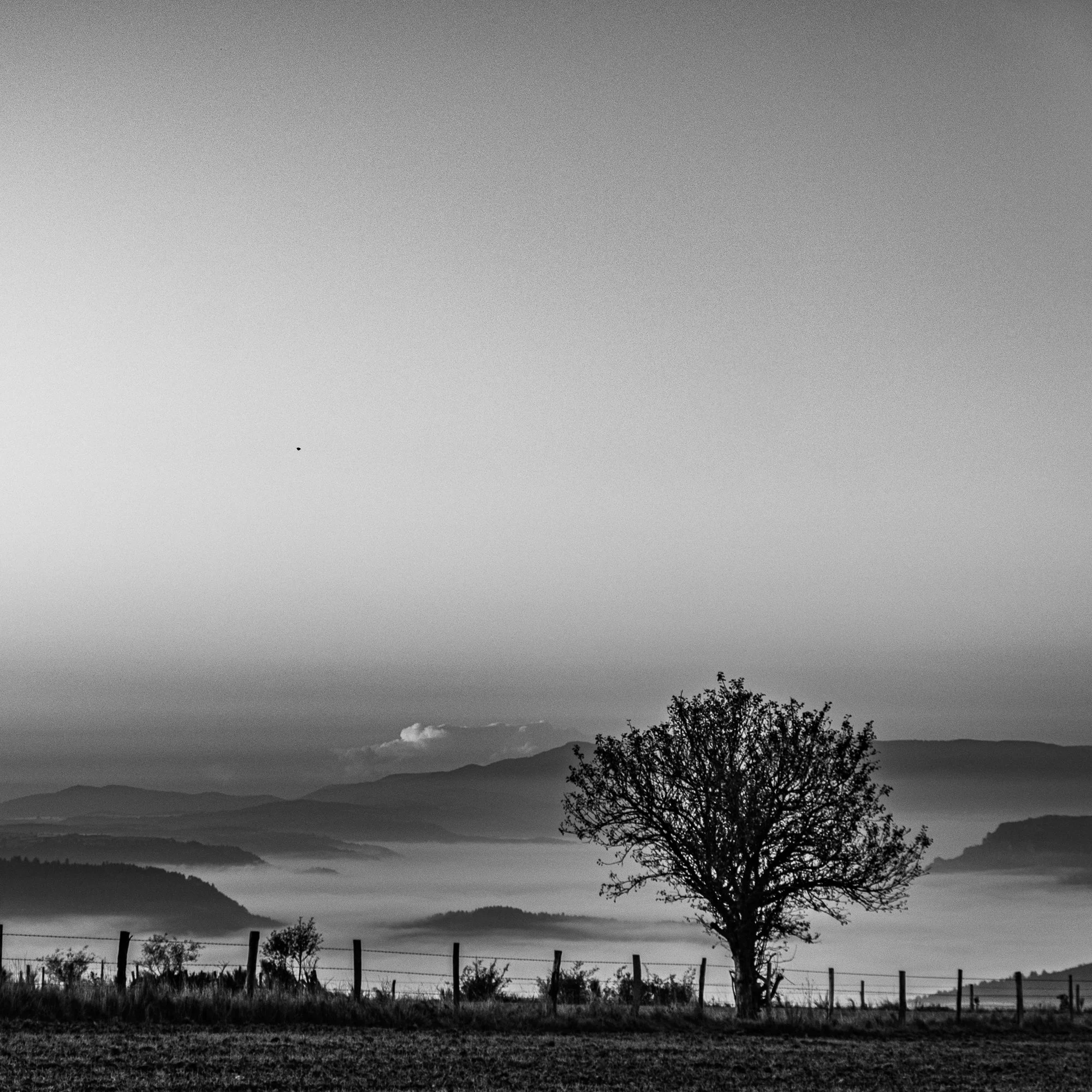 Série photo de Dominique Delorme en noir et blanc dans les Cévennes en Lozère