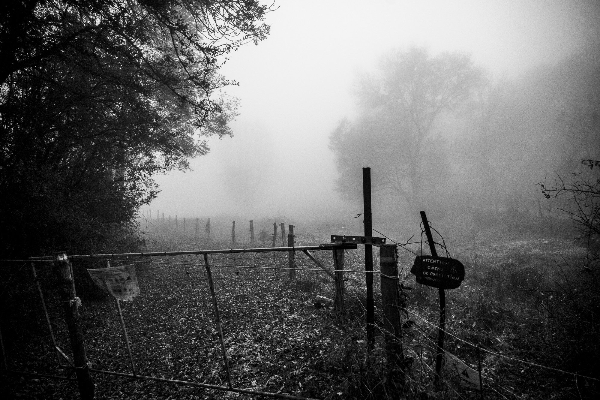 Série photo de Chris Branruz en noir et blanc dans les Cévennes en Lozère