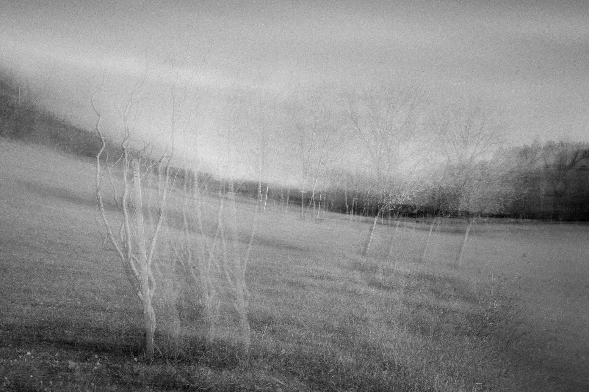 Mentorat photo en ligne pour développer une projet photo avec Jack Solle de Préludes Photo, projet de Maryline Cellini