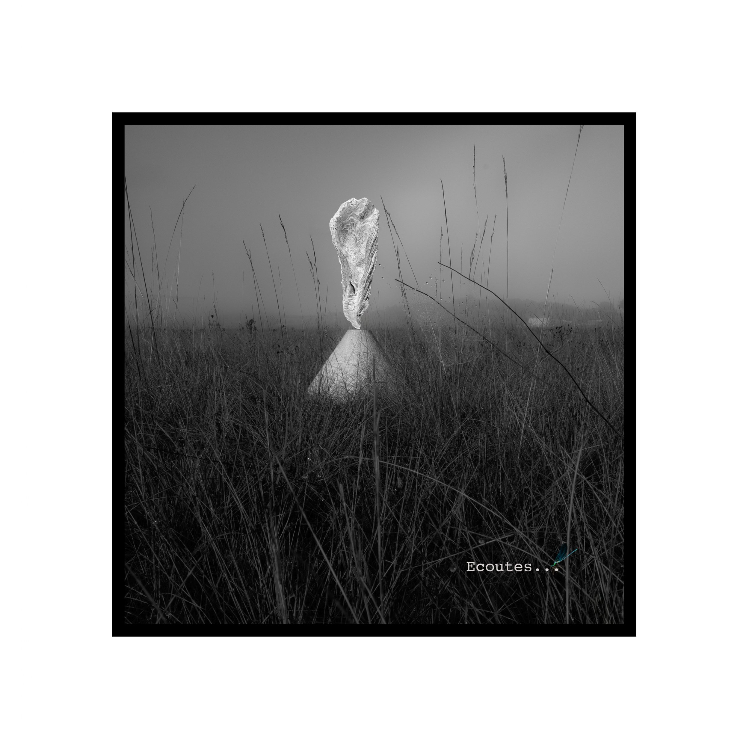 Projet photo pro-position de Pierre Carrelet développé dans la formation Au-delà des images de Préludes Photo