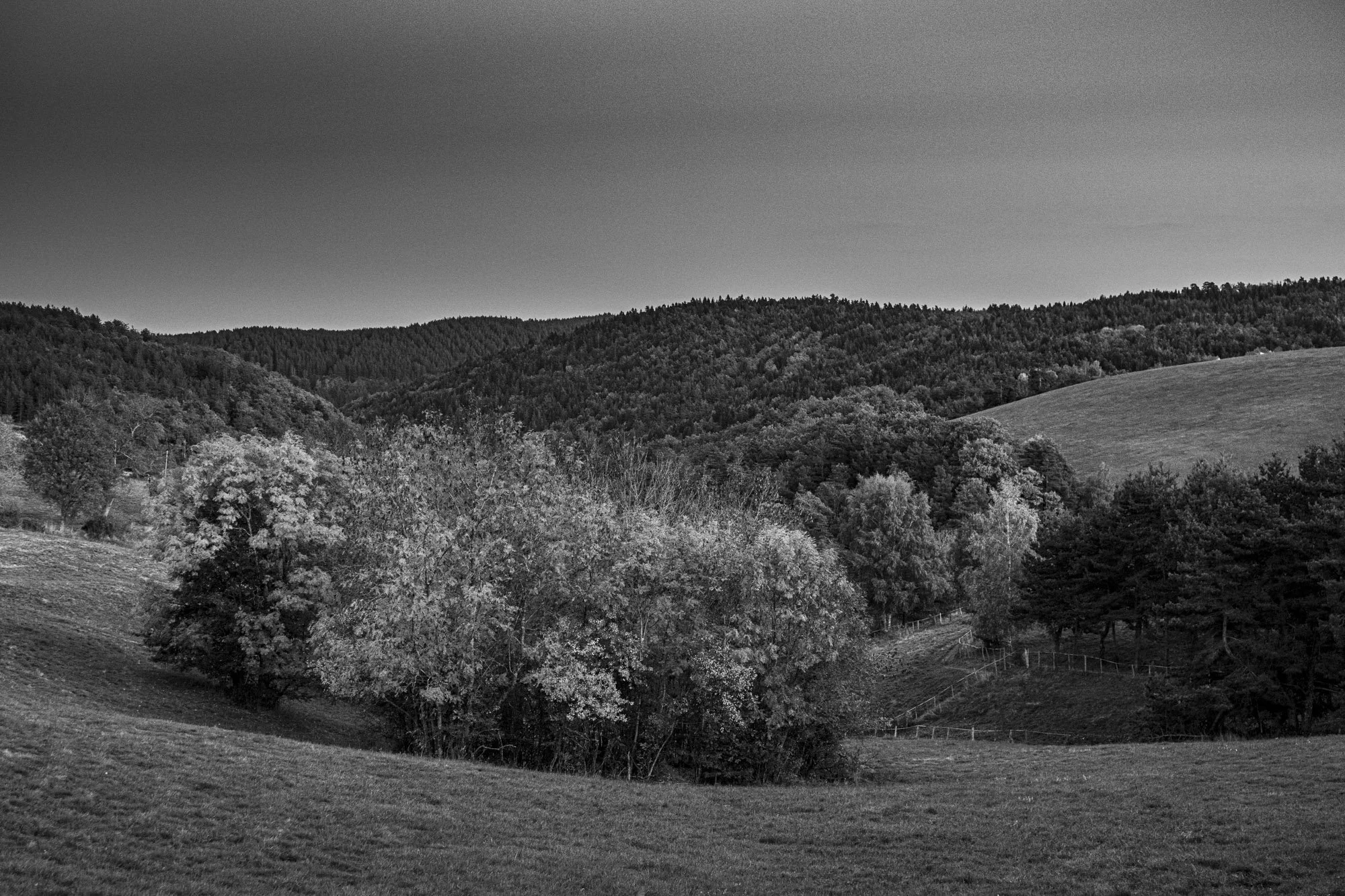 Série photo de Philippe Alliel en noir et blanc dans les Cévennes en Lozère