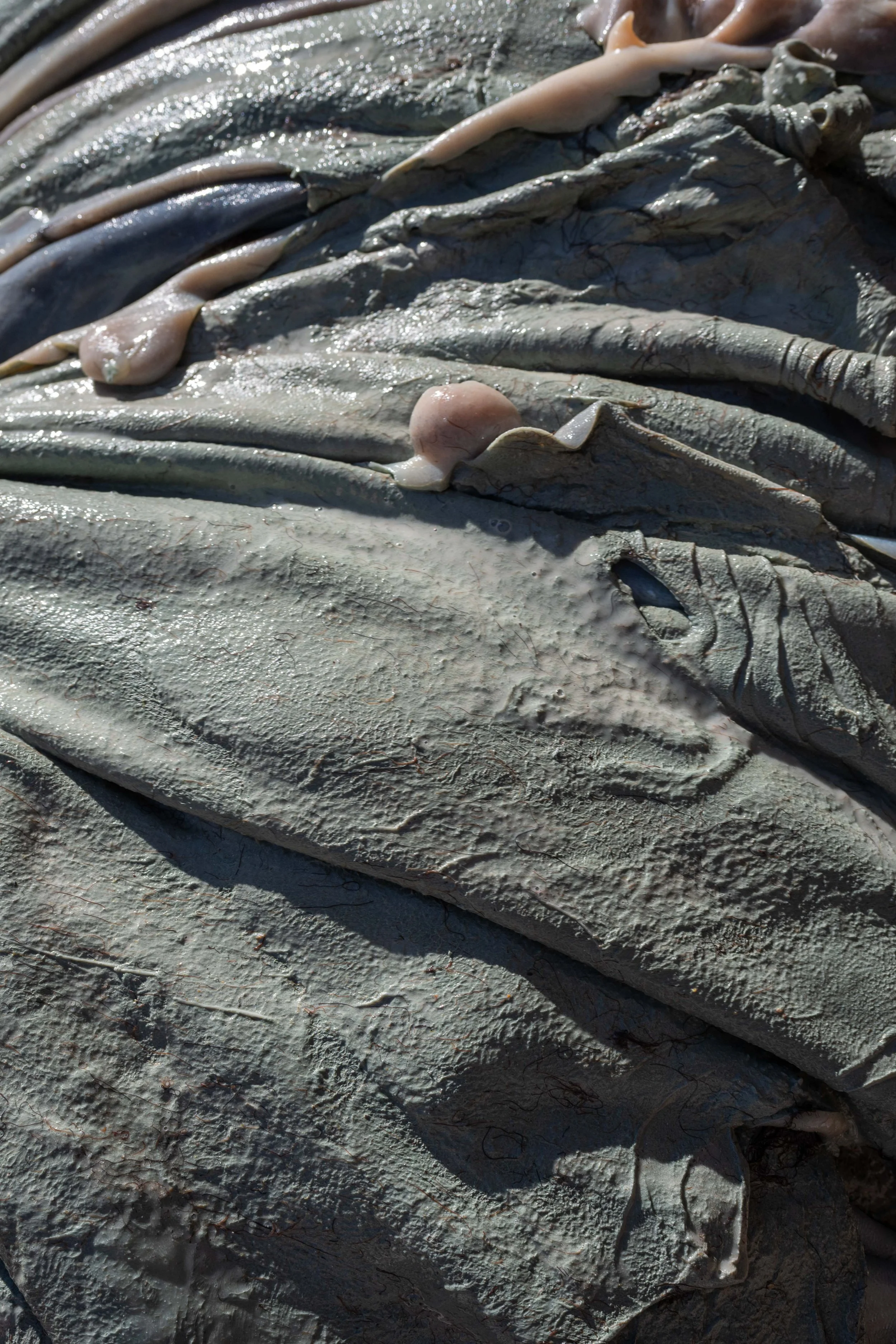 Série photo documentaire de la tannerie de Chouara à Fès