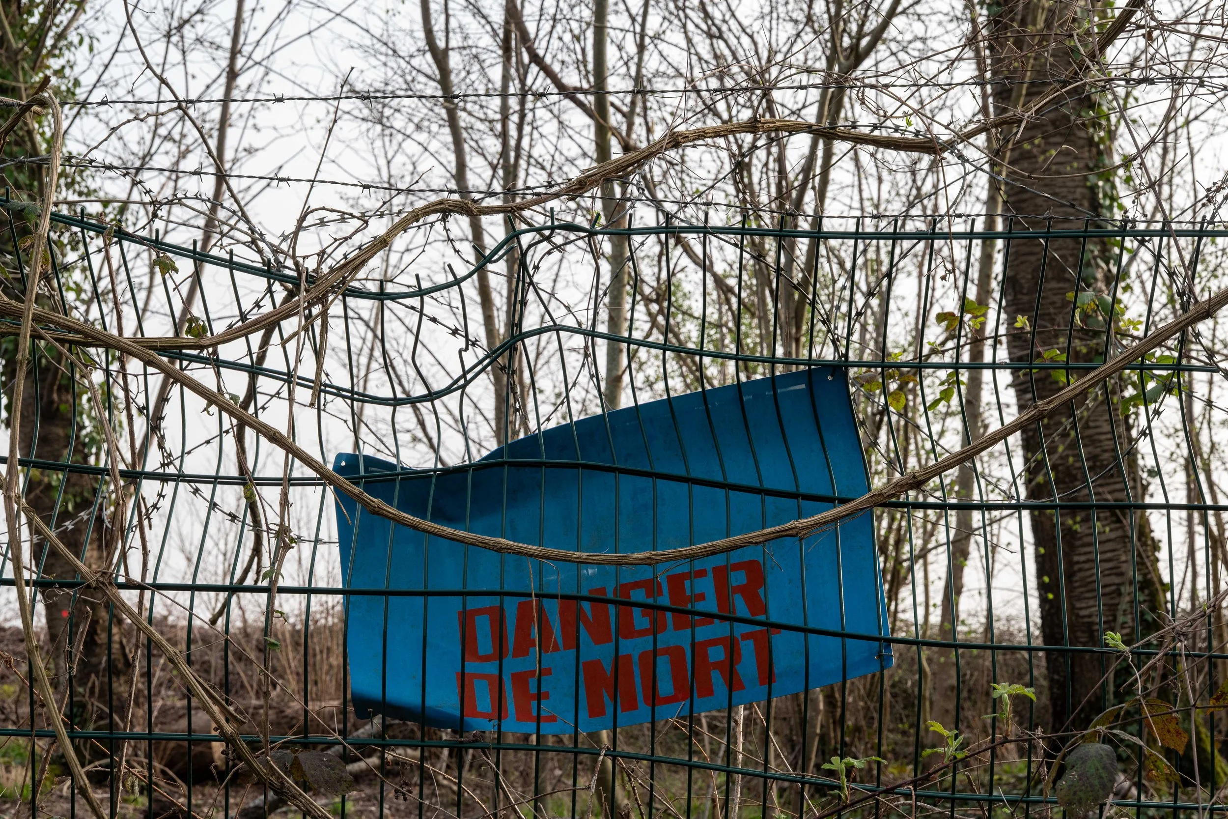Entre banlieue et campagne, une quête de liberté et une errance quotidienne en périphérie parisienne. Photographie issue de la série "Voyage autour de chez moi" de France Garcia-Ficheux, développée dans le cadre du mentorat photo en ligne de Préludes