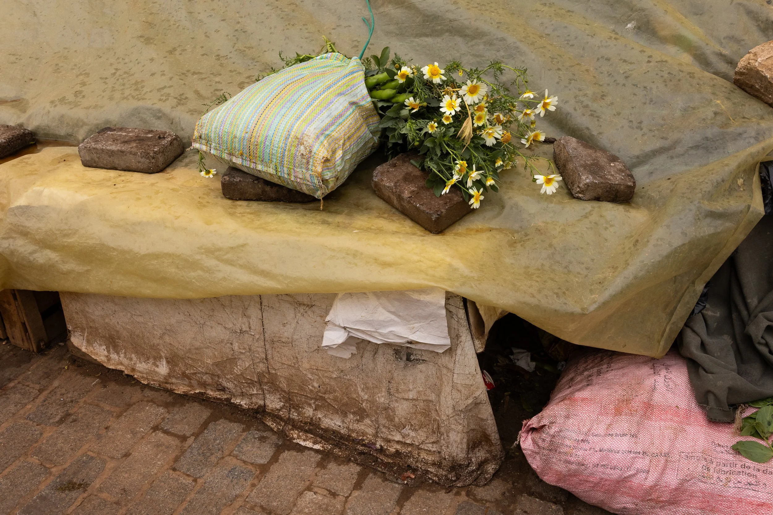 Série photo de Stéphanie Maillard à Fès au Maroc durant un stage photo entre street et photographie documentaire, organisé par Préludes Photo