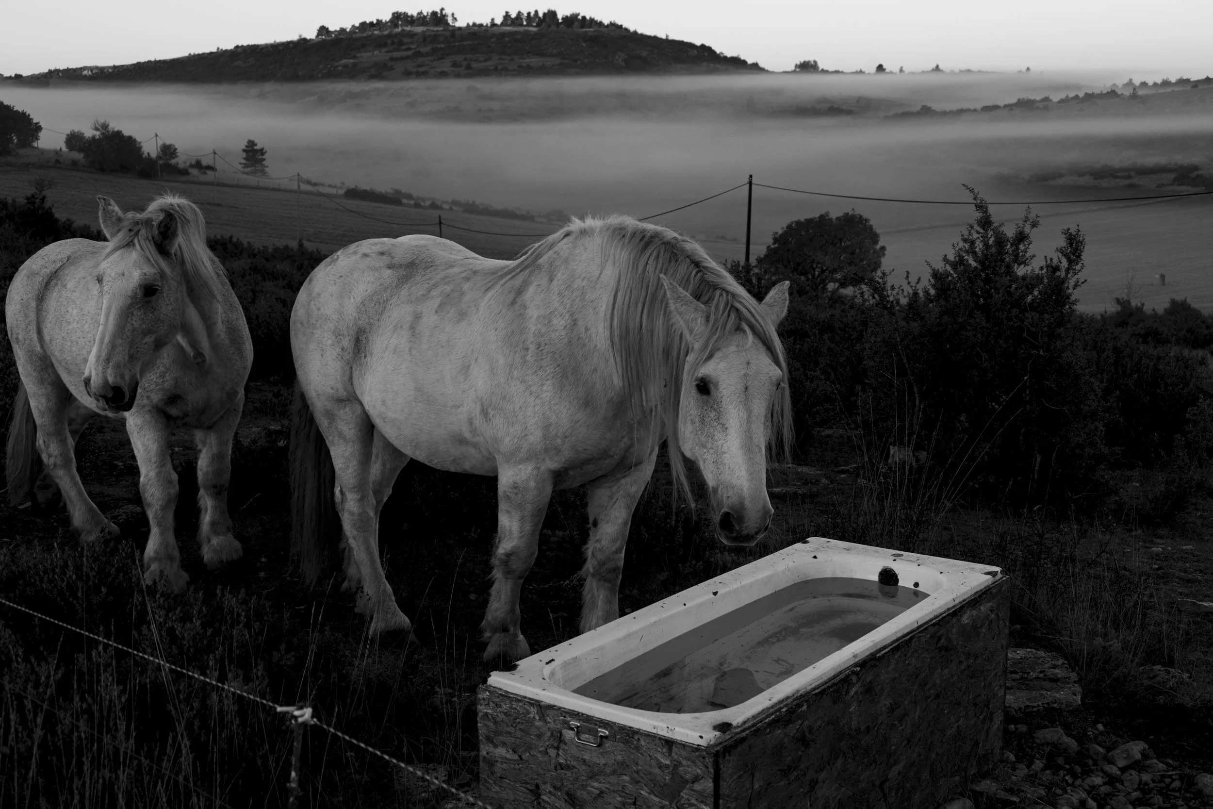 Série photo de Chris Branruz en noir et blanc dans les Cévennes en Lozère
