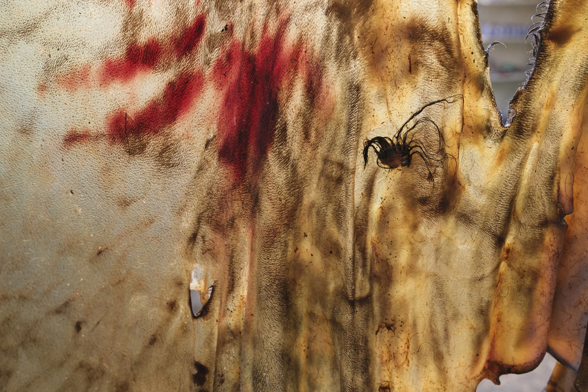 Série photo documentaire de la tannerie de Chouara à Fès